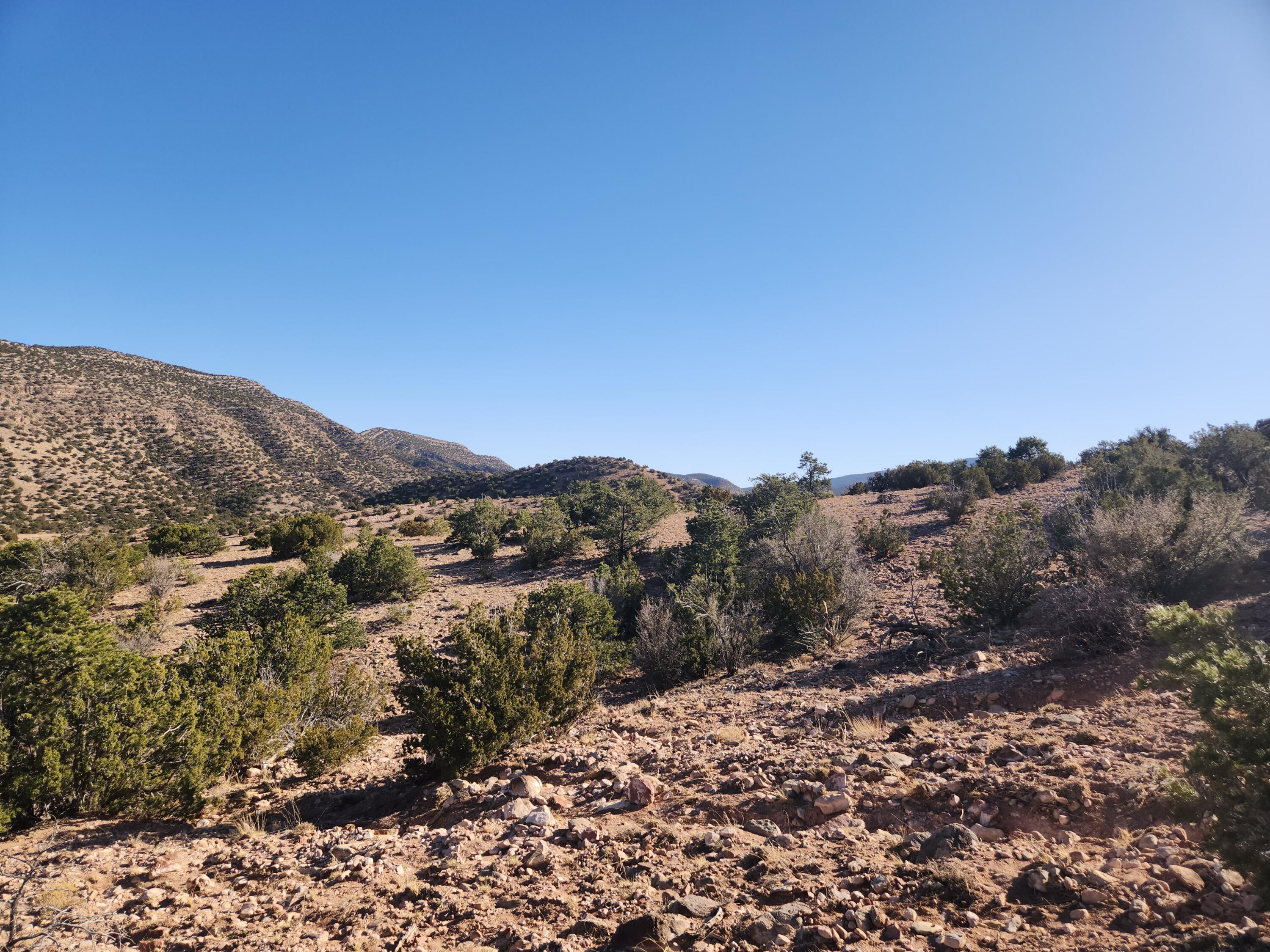 25 Camino Del Tecolote, Placitas, New Mexico image 12