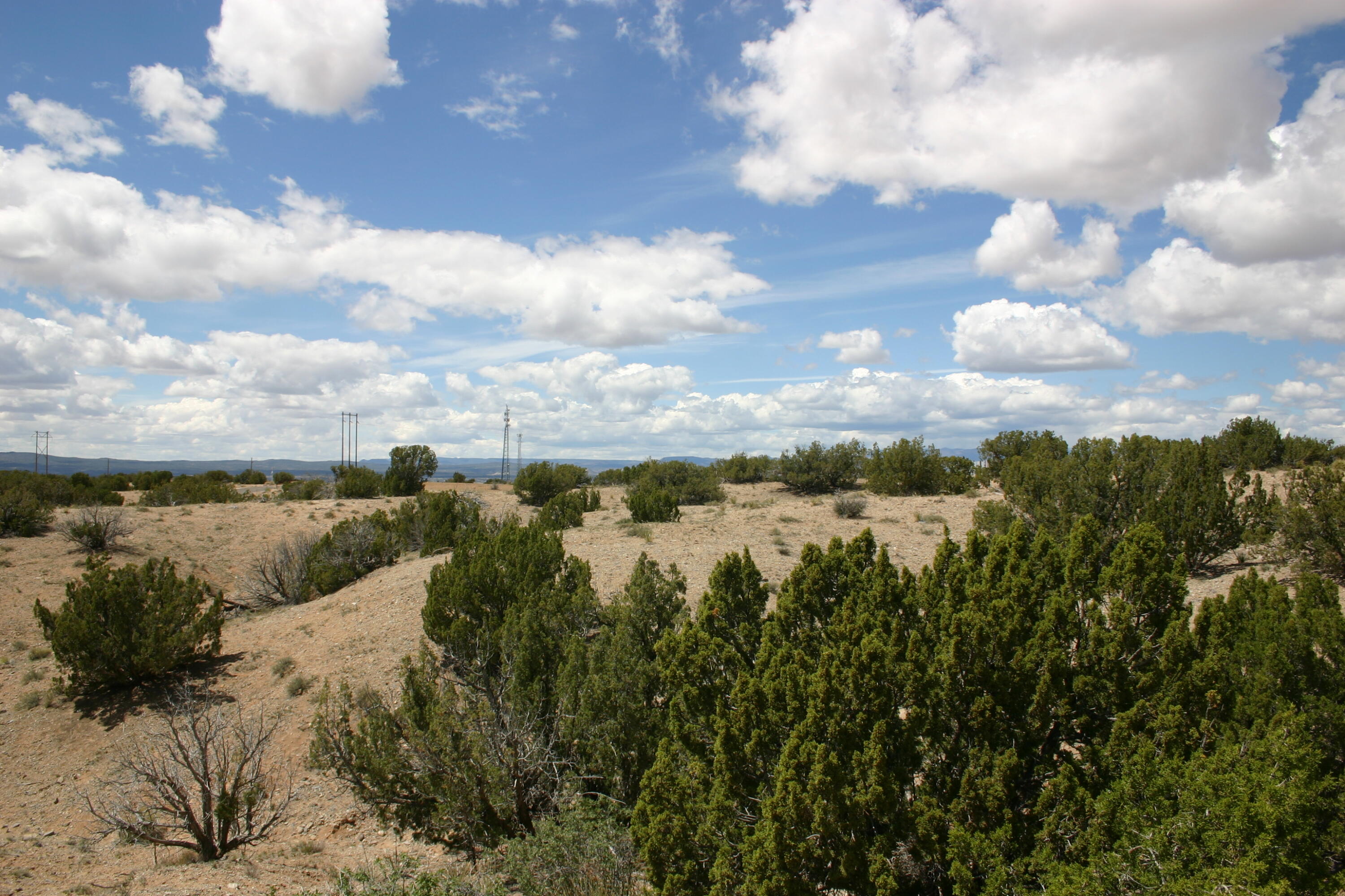 Budagher (19) Boulevard, Algodones, New Mexico image 7