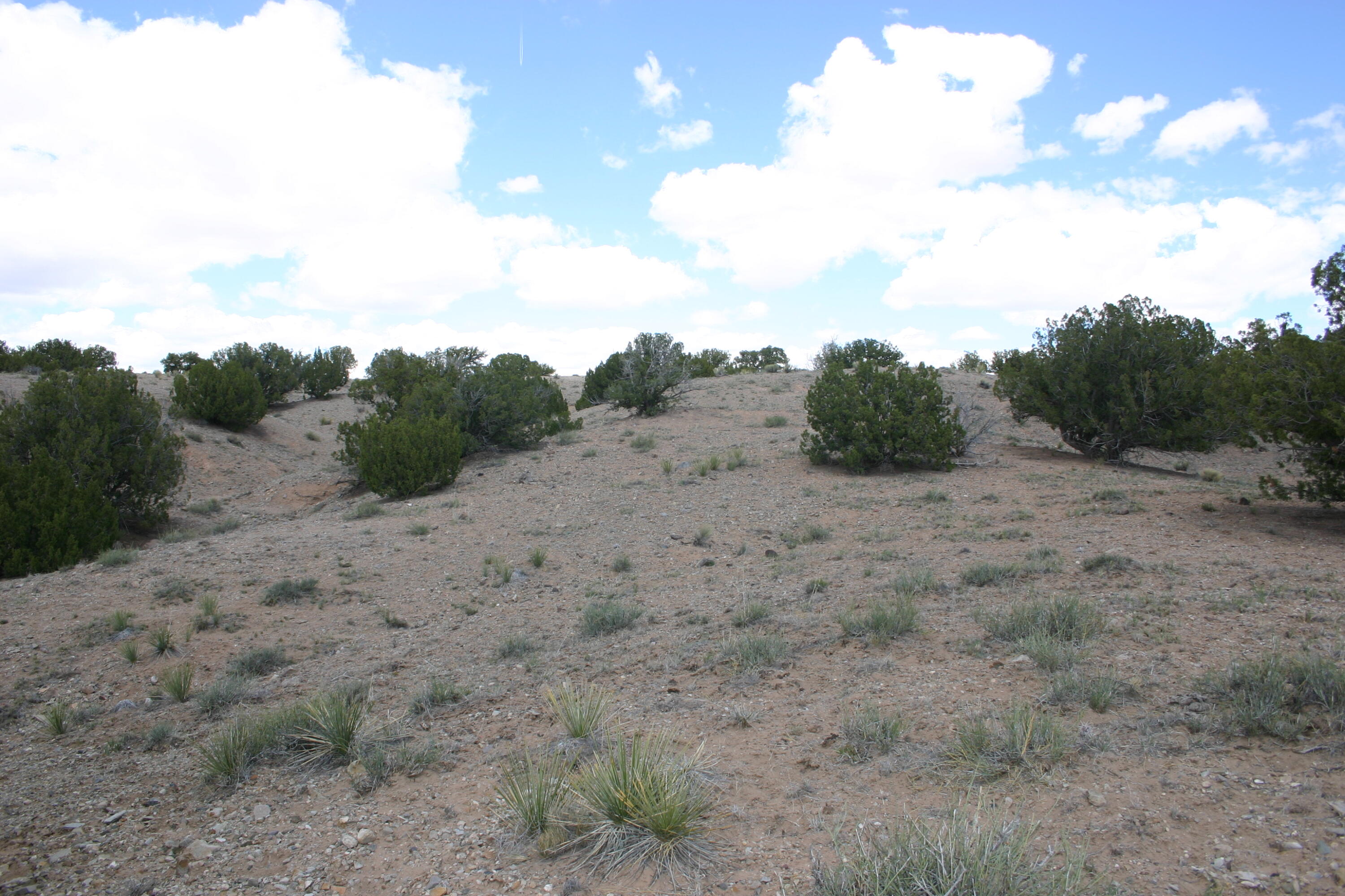 Budagher (19) Boulevard, Algodones, New Mexico image 8