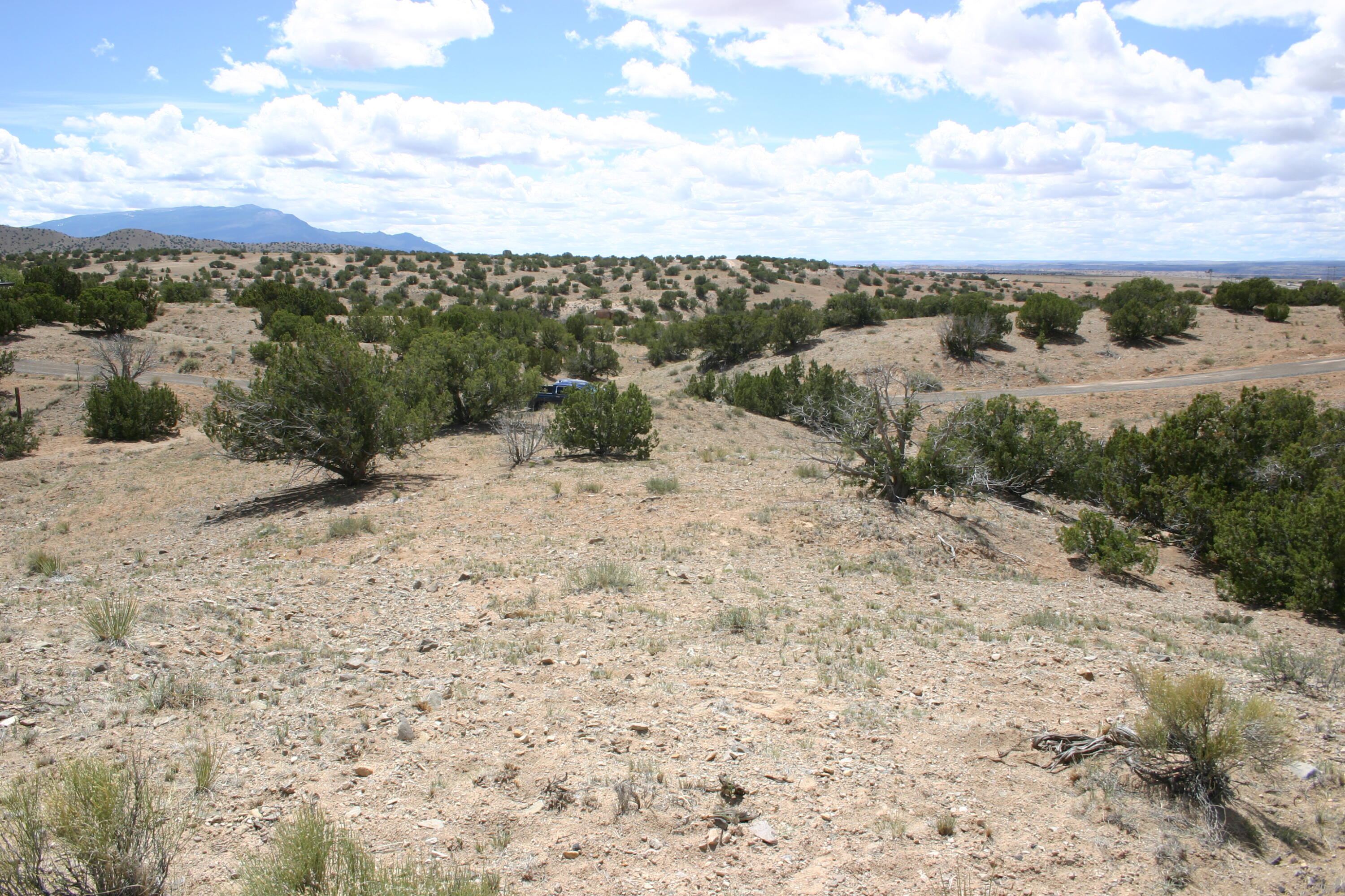 Budagher (19) Boulevard, Algodones, New Mexico image 3