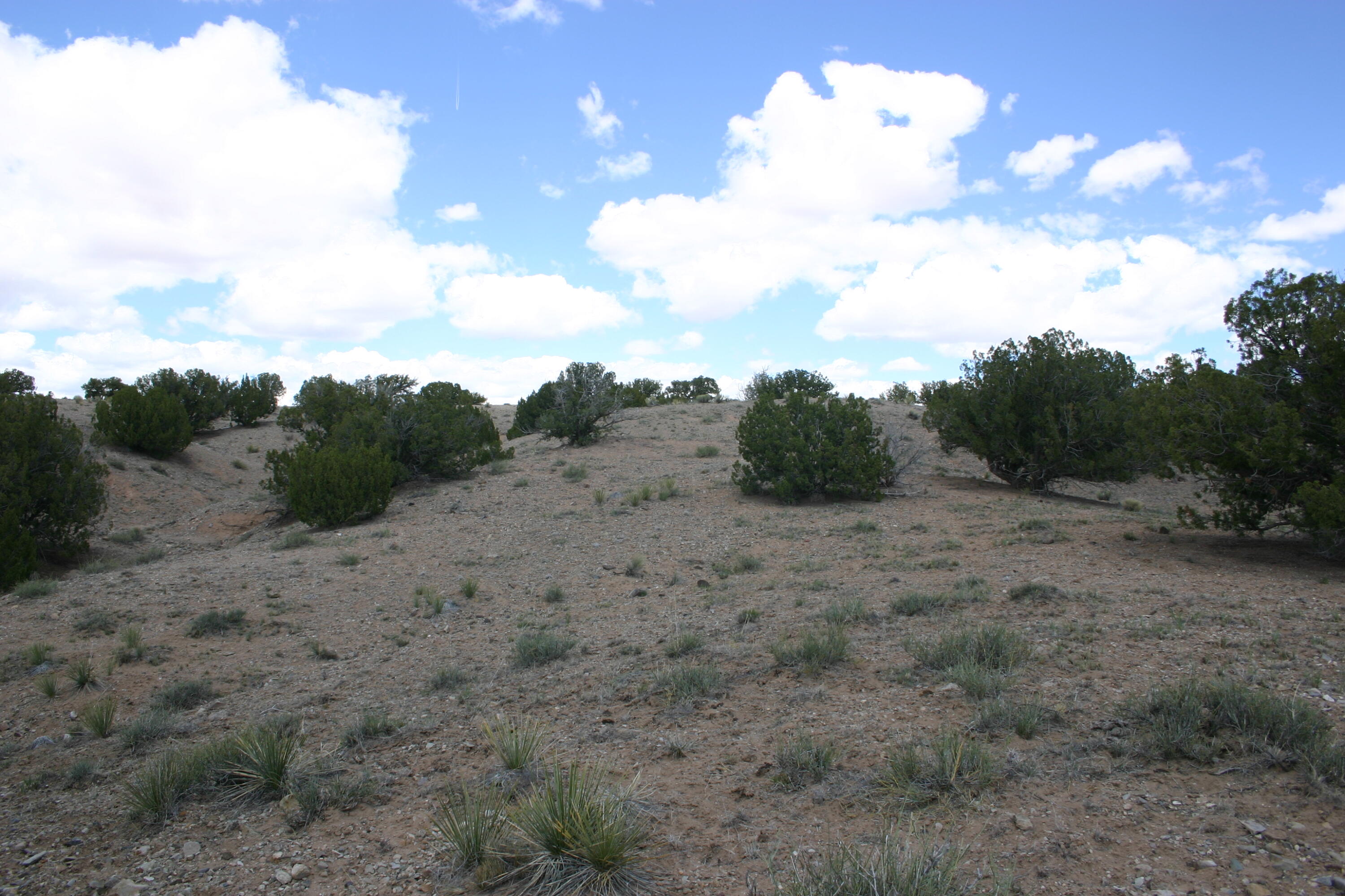 Budagher (19) Boulevard, Algodones, New Mexico image 9