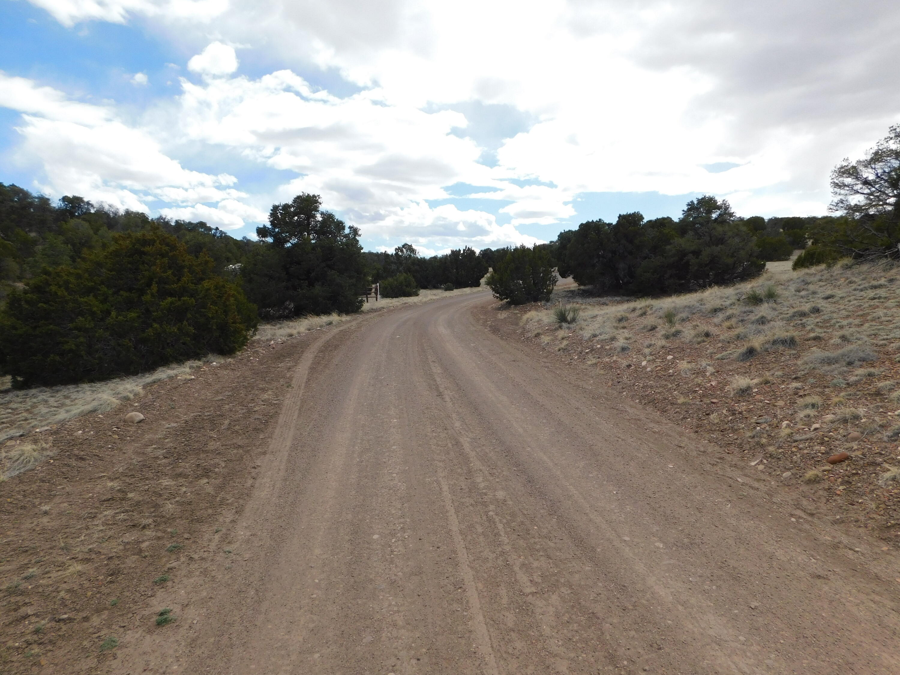 Lot 111 Dove Valley Road, Quemado, New Mexico image 12