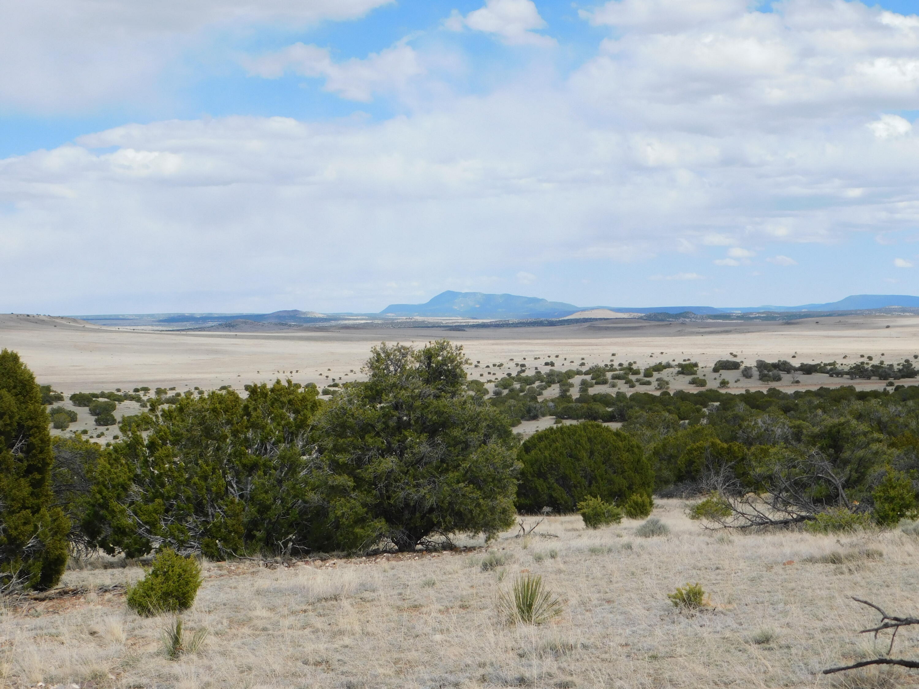 Lot 111 Dove Valley Road, Quemado, New Mexico image 6