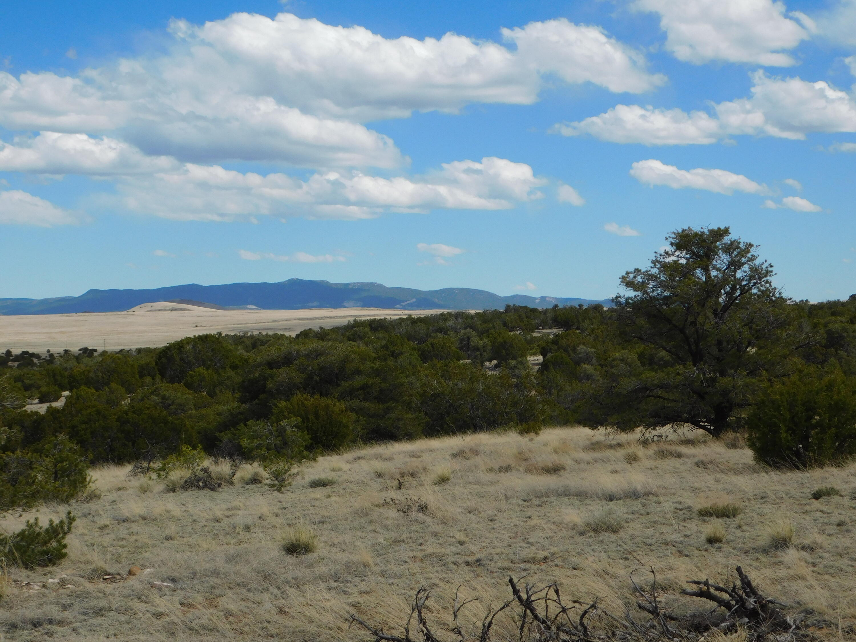 Lot 111 Dove Valley Road, Quemado, New Mexico image 8