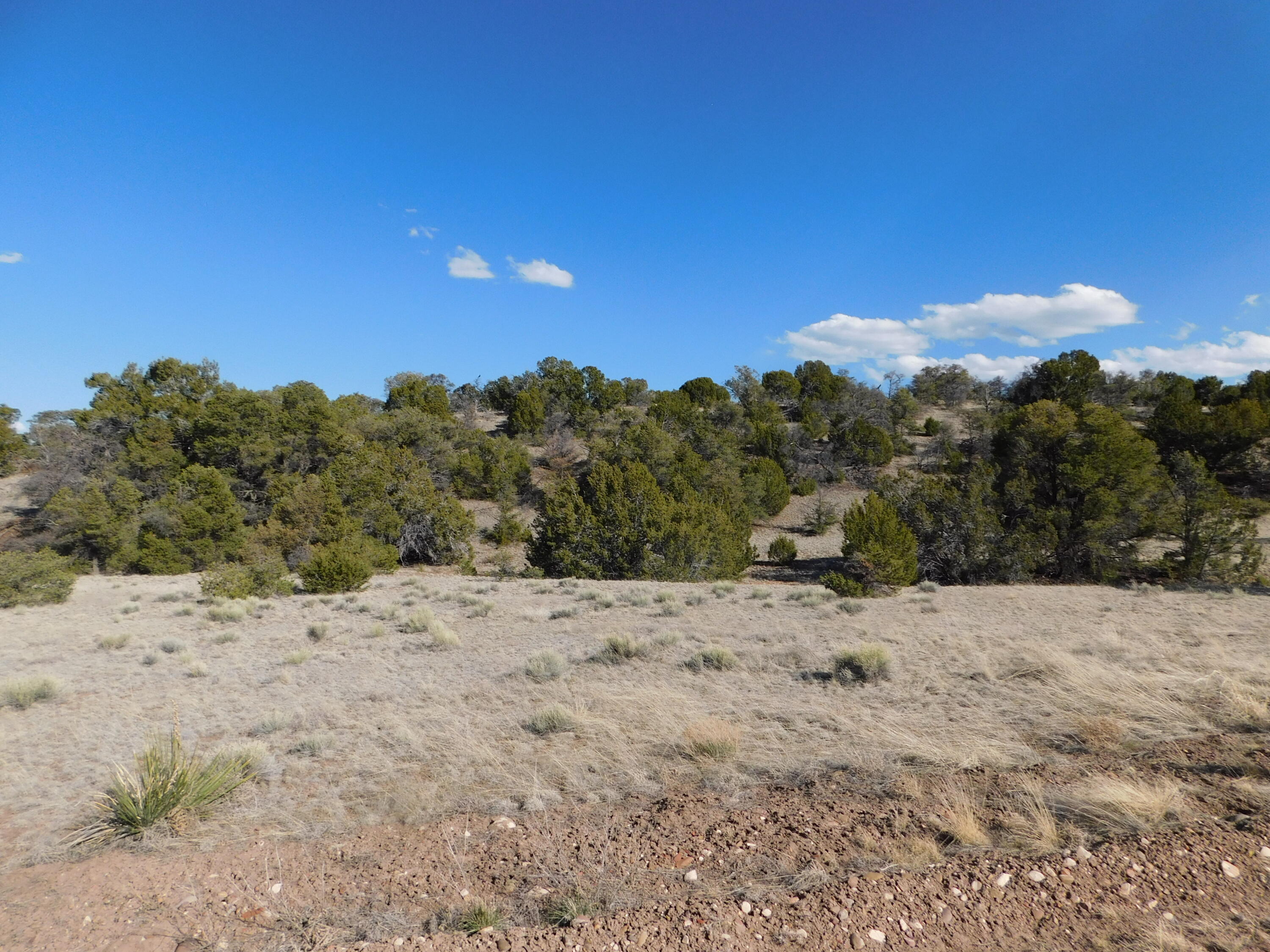 Lot 111 Dove Valley Road, Quemado, New Mexico image 3