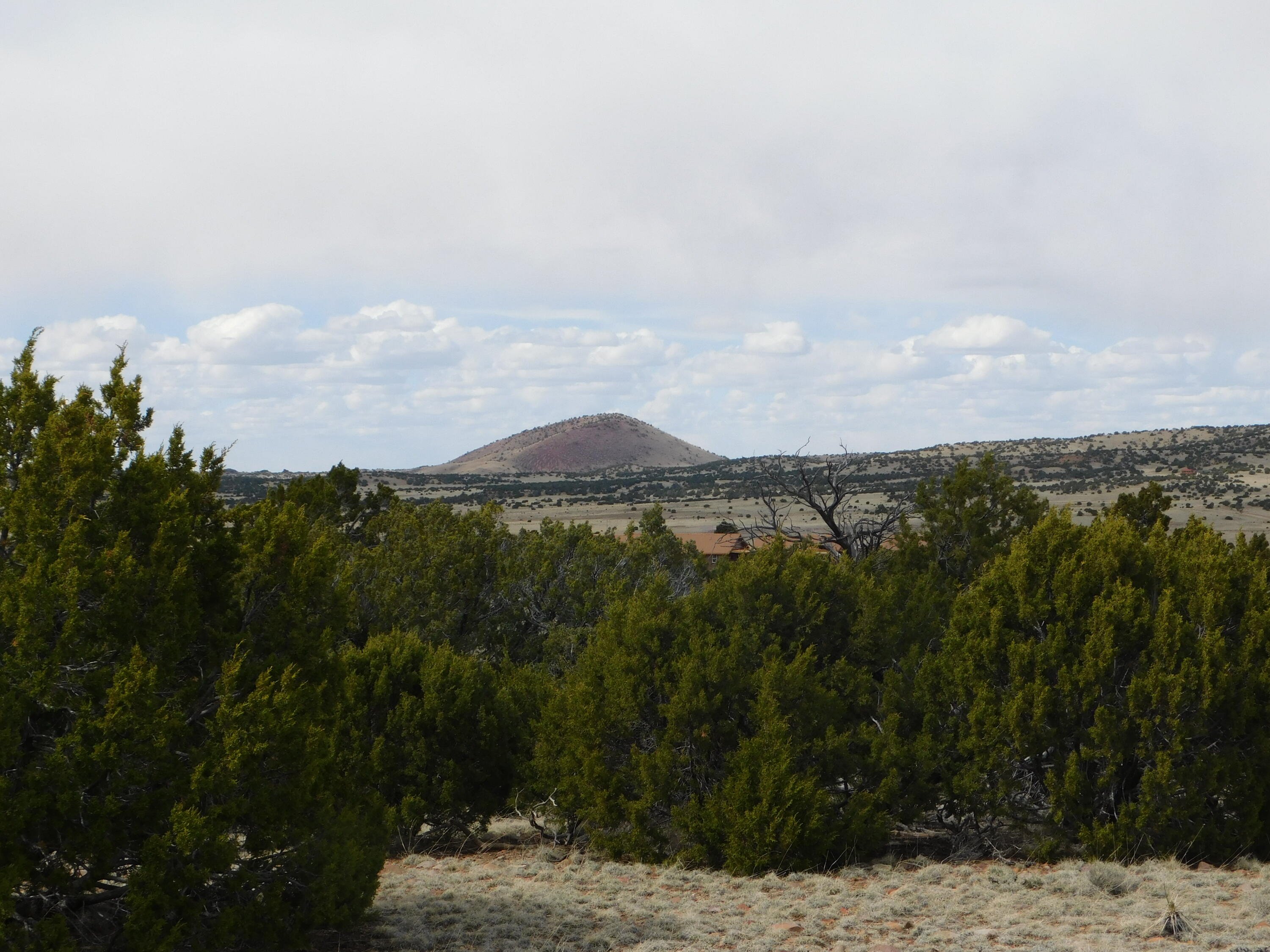 Lot 111 Dove Valley Road, Quemado, New Mexico image 7