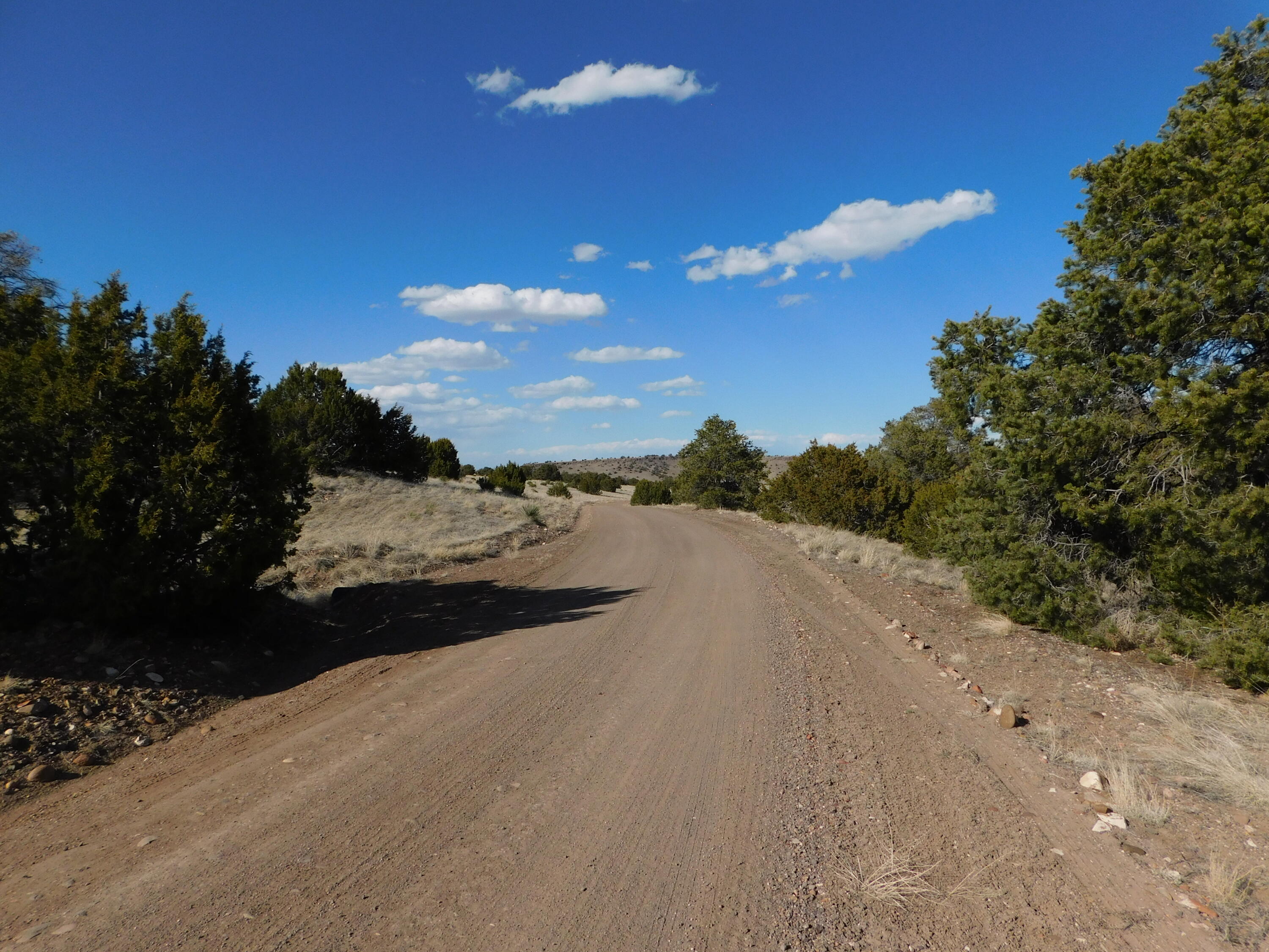 Lot 111 Dove Valley Road, Quemado, New Mexico image 13