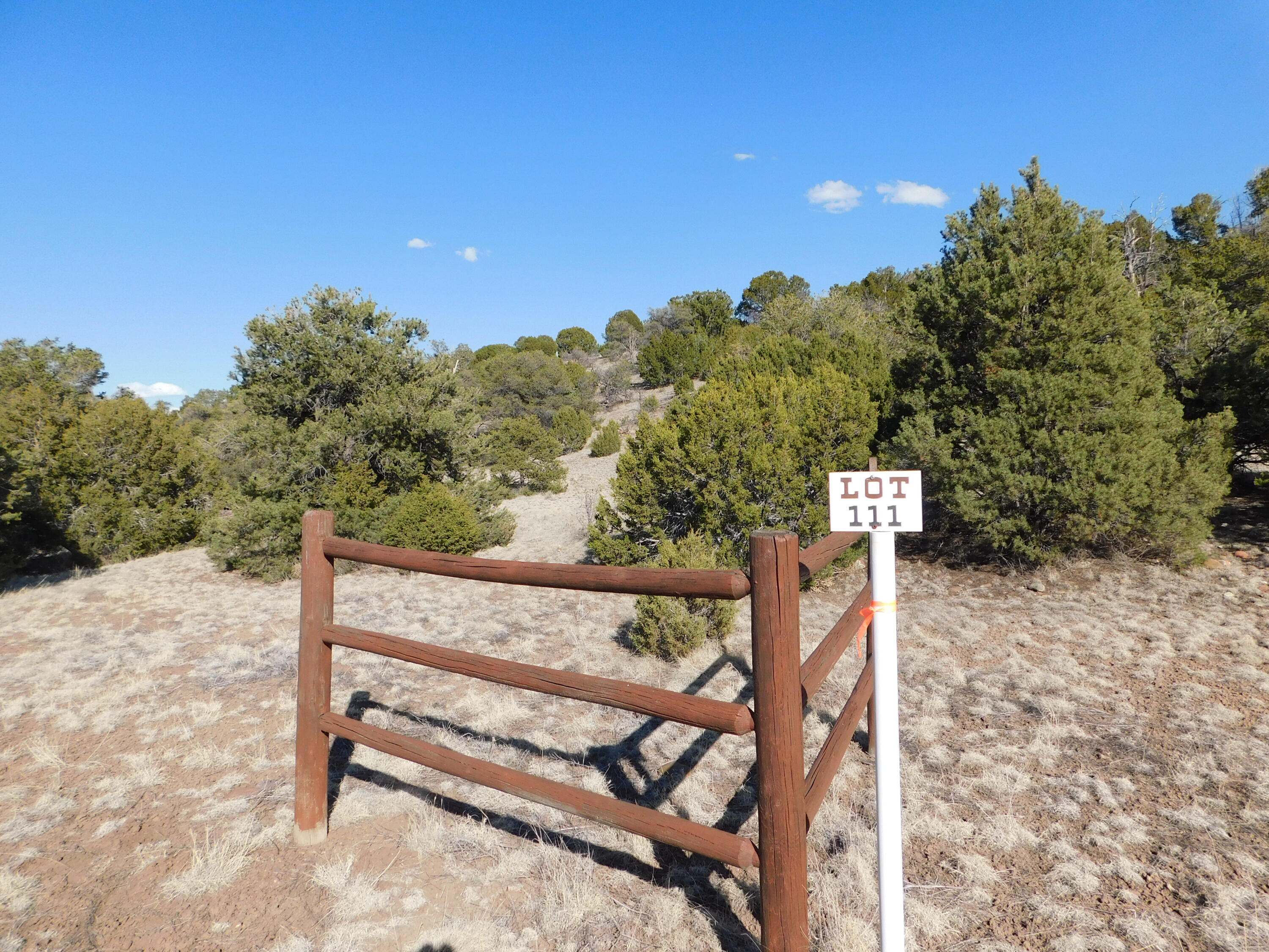 Lot 111 Dove Valley Road, Quemado, New Mexico image 4