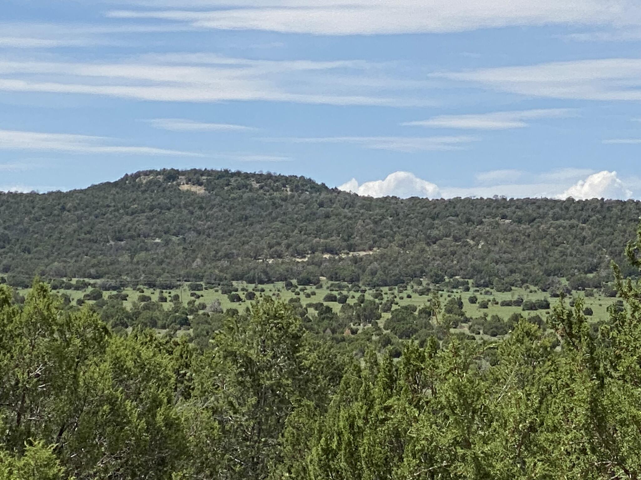 Windhaven Lot 8 Lane, Edgewood, New Mexico image 2