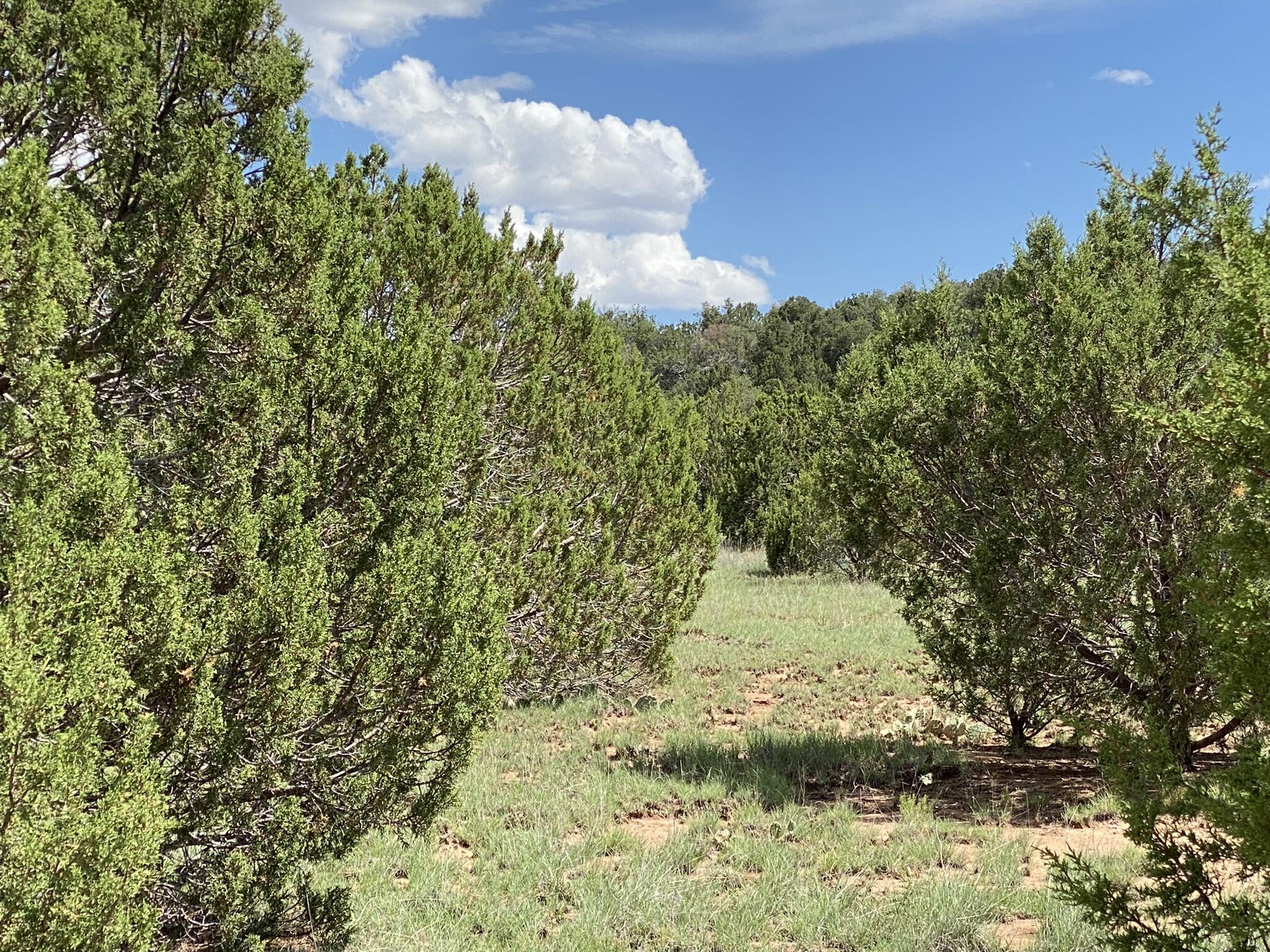 Windhaven Lot 8 Lane, Edgewood, New Mexico image 7