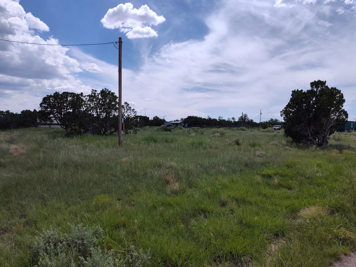 N Manzano Avenue, Mountainair, New Mexico image 4