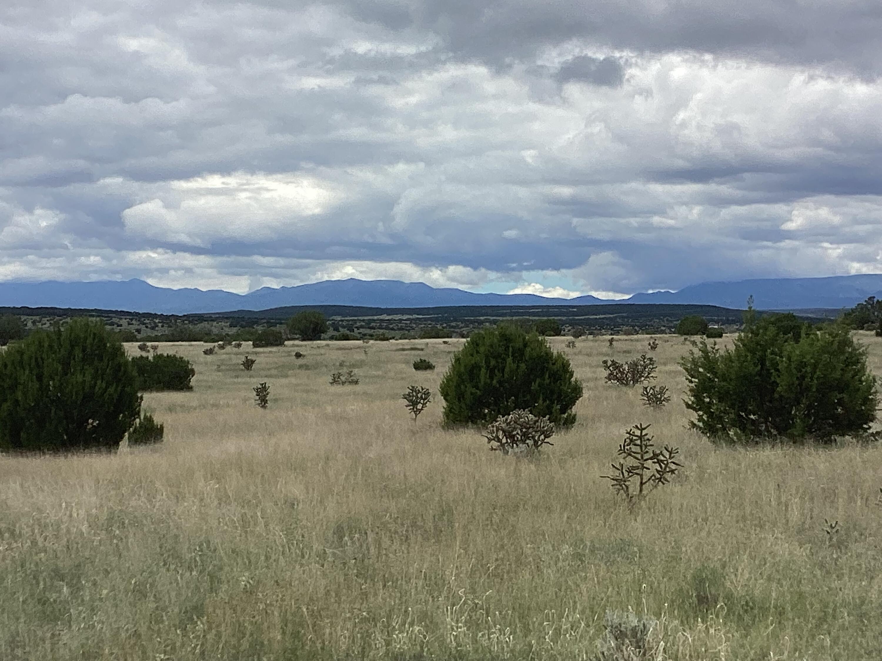 County Rd A052 Tract F-1, Estancia, New Mexico image 1