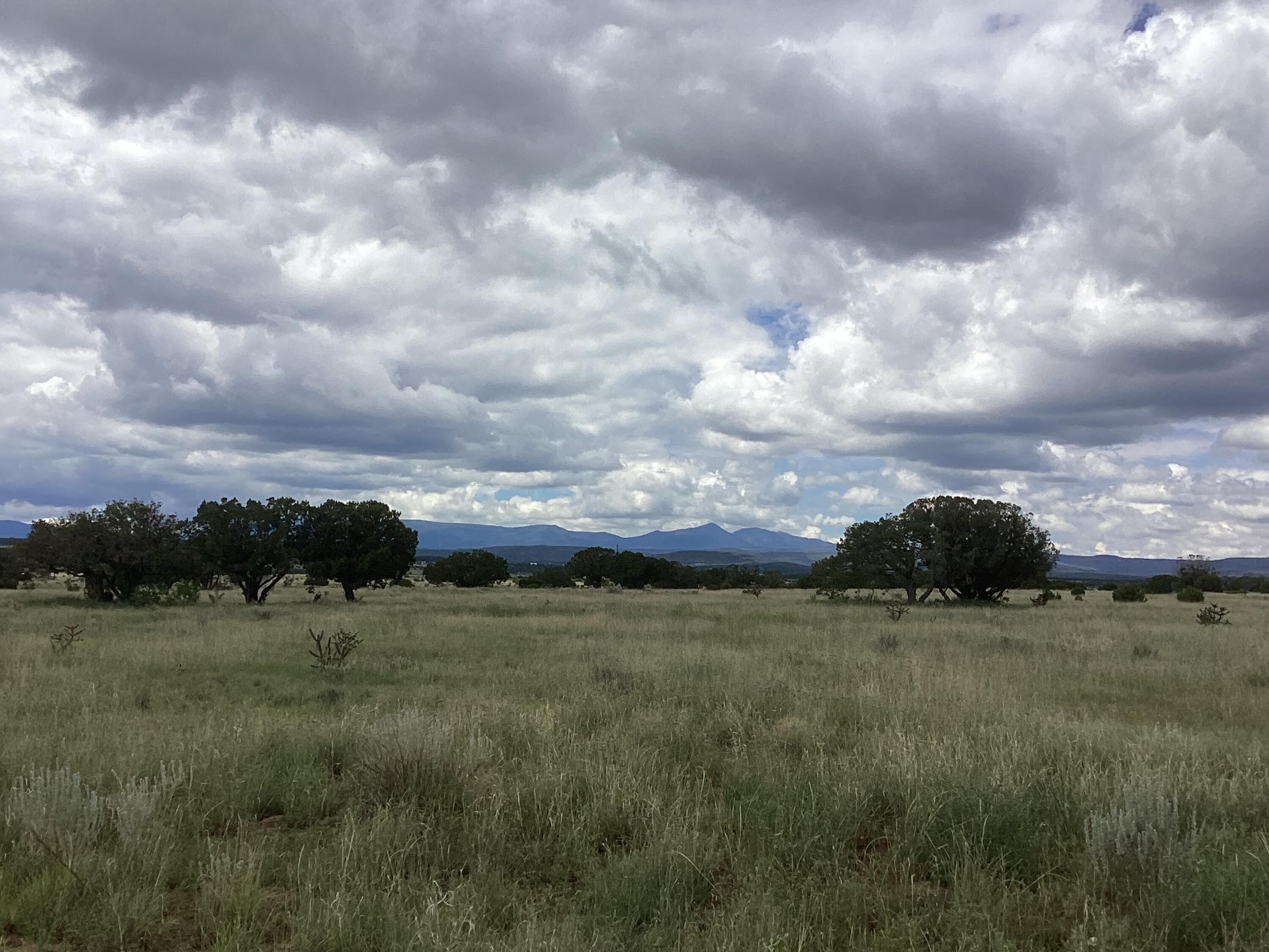 County Rd A052 Tract F-1, Estancia, New Mexico image 2