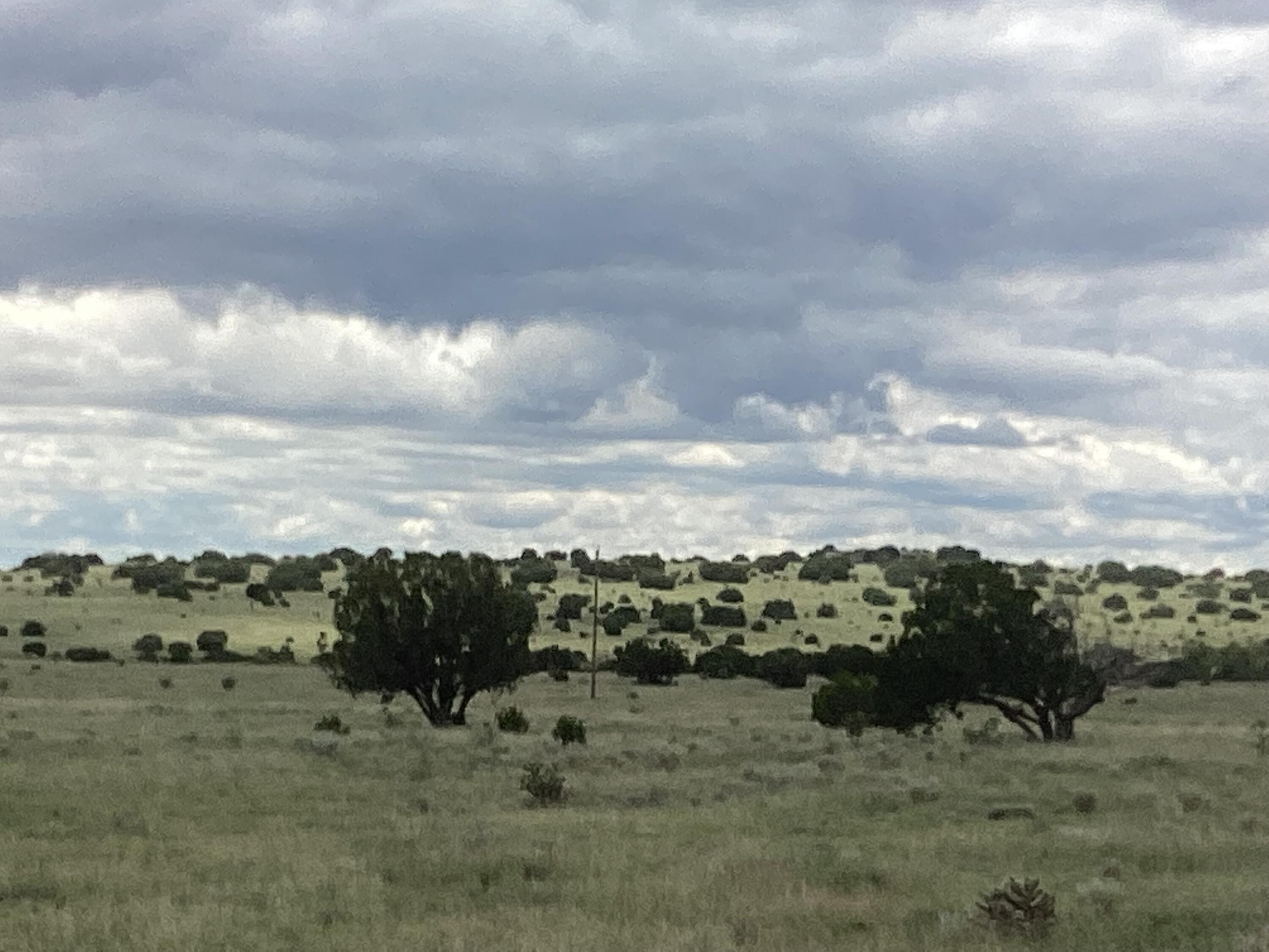 County Rd A052 Tract F-1, Estancia, New Mexico image 4