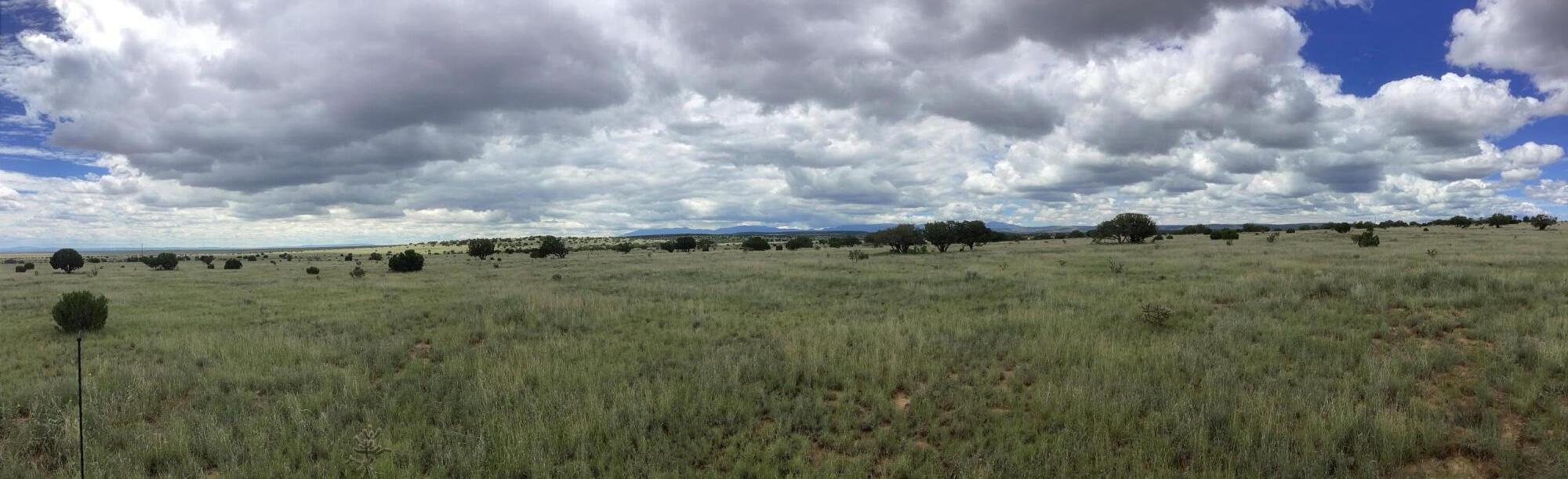 County Rd A052 Tract F-1, Estancia, New Mexico image 3