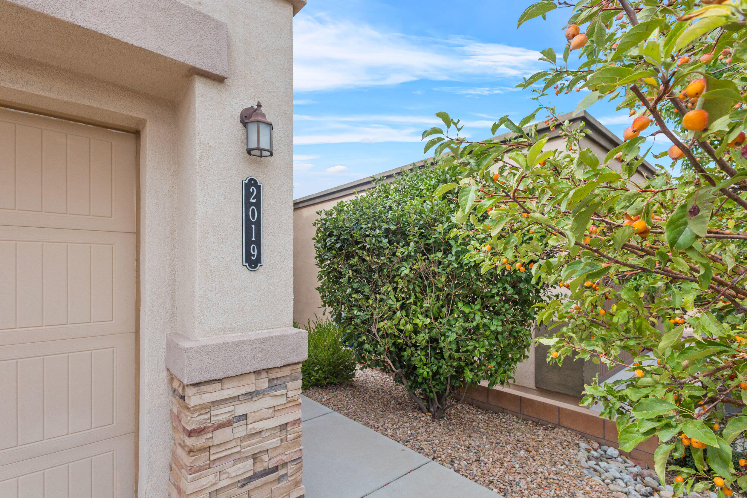 2019 Fonner Drive, Albuquerque, New Mexico image 3