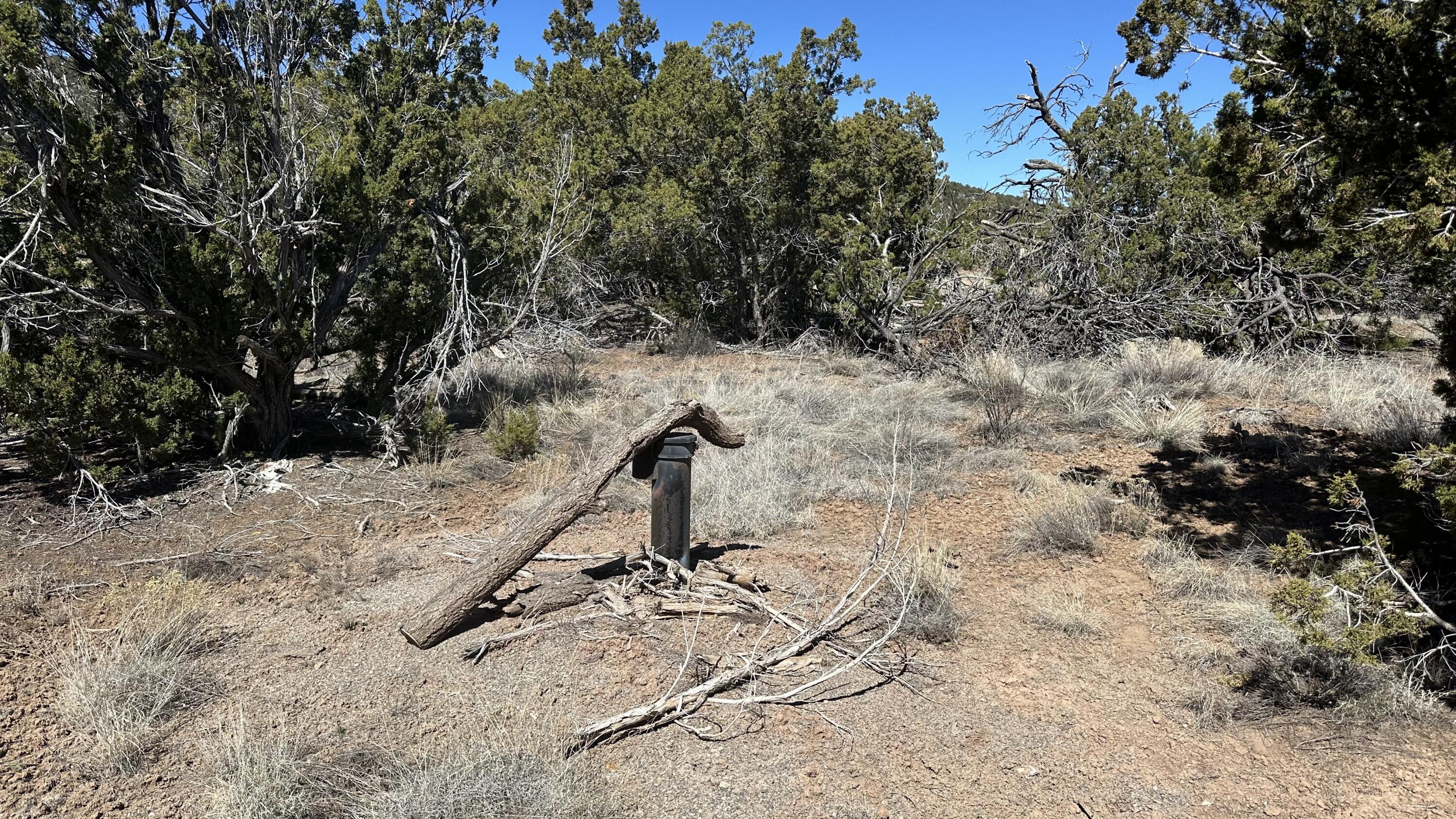 Stagecoach Road #U1TR7, Sandia Park, New Mexico image 3