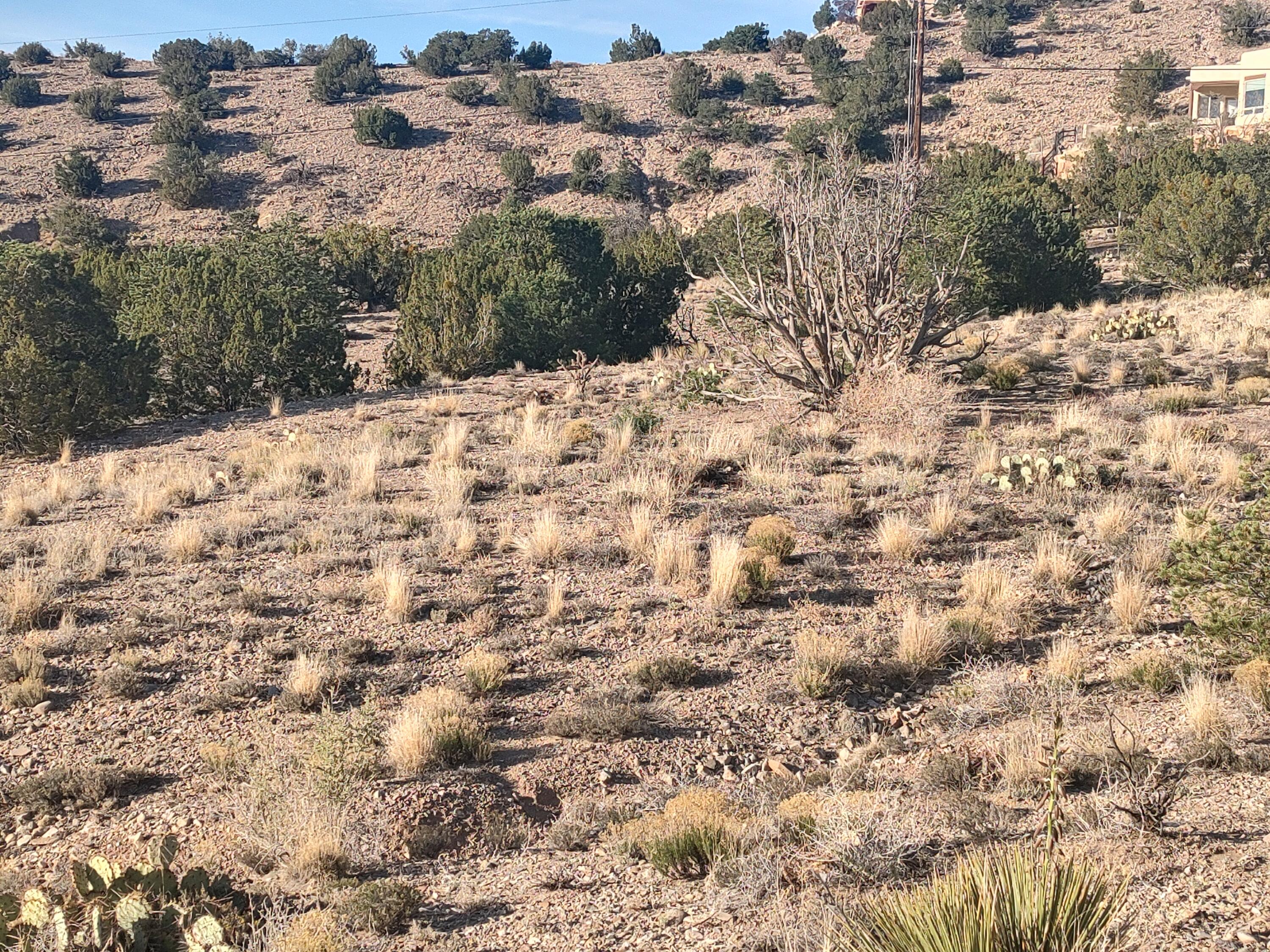 Las Brisas Loop