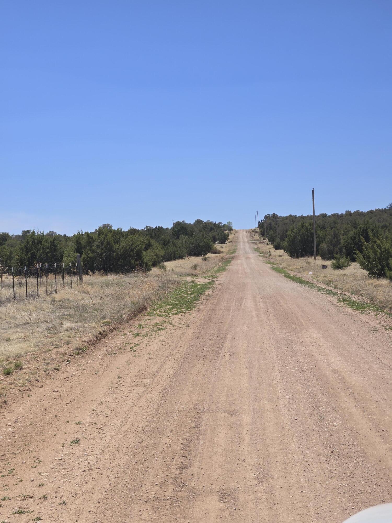 County Rd A-102 Lot 4, Tajique, New Mexico image 15