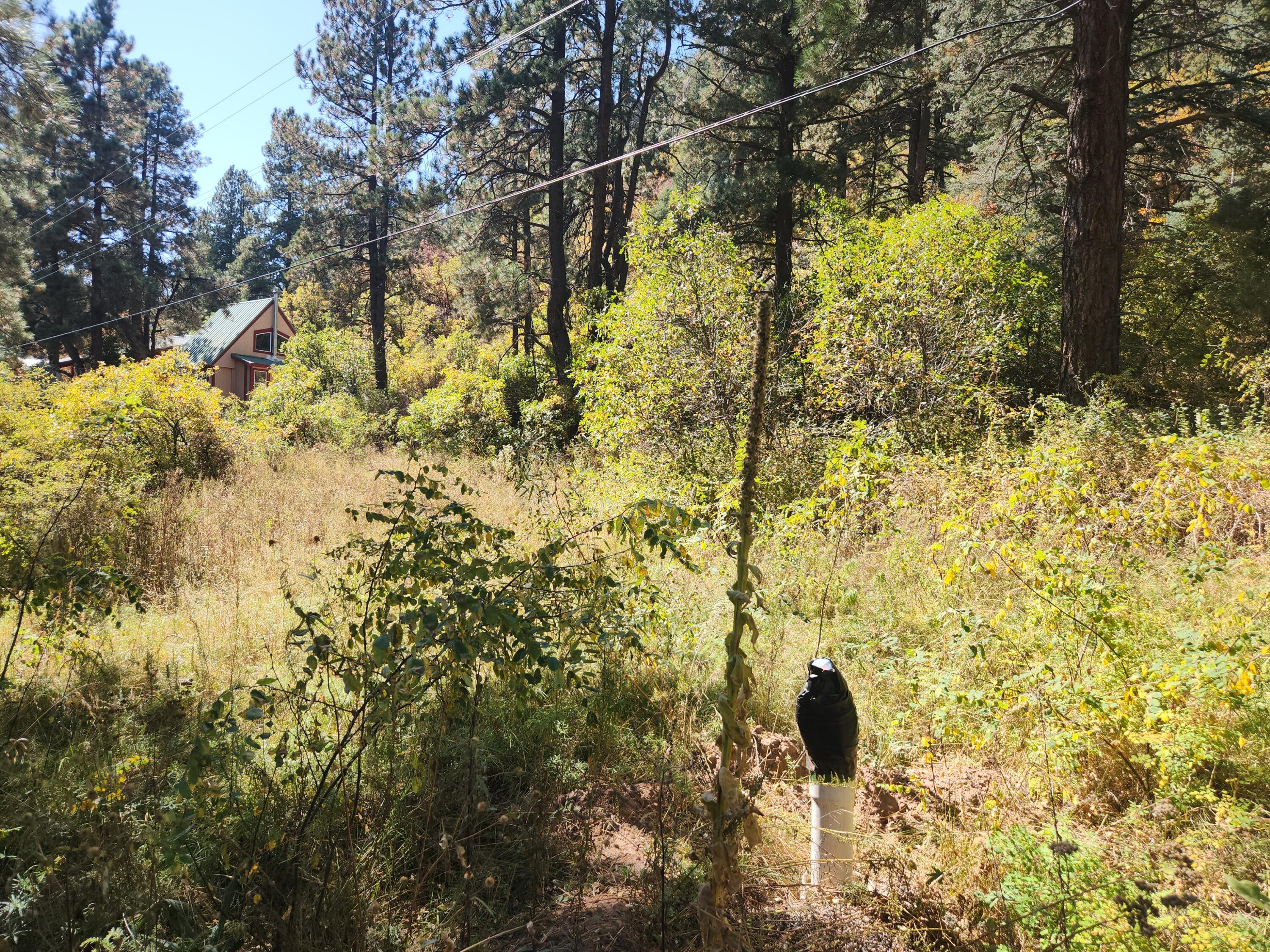 26856 Highway 126, Jemez Springs, New Mexico image 18