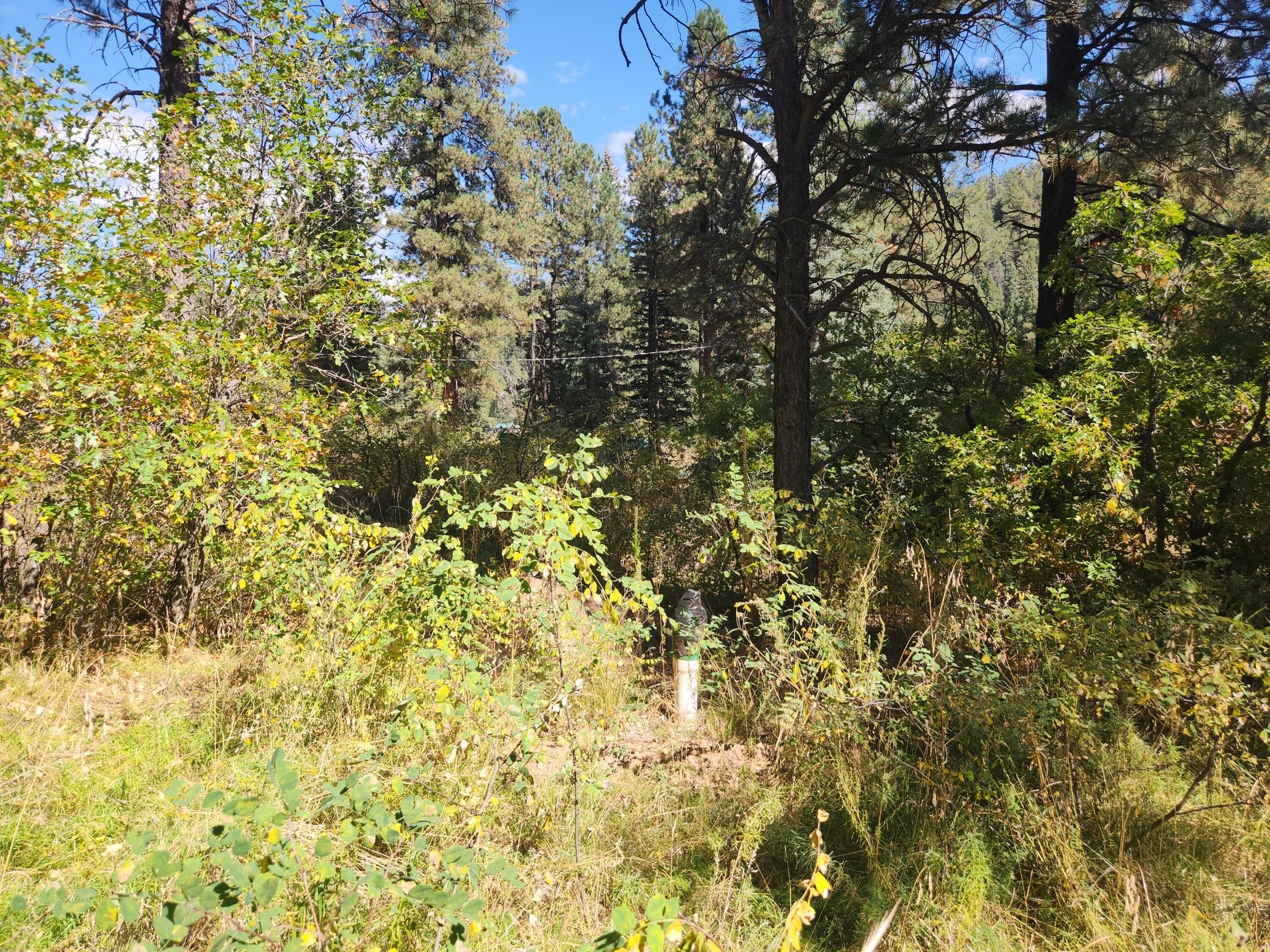 26856 Highway 126, Jemez Springs, New Mexico image 10