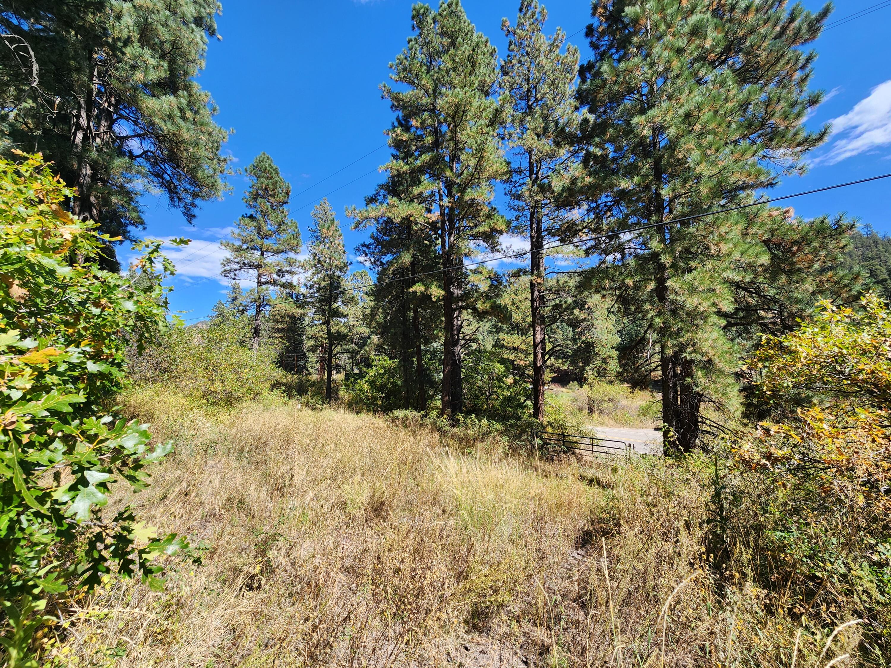 26856 Highway 126, Jemez Springs, New Mexico image 1