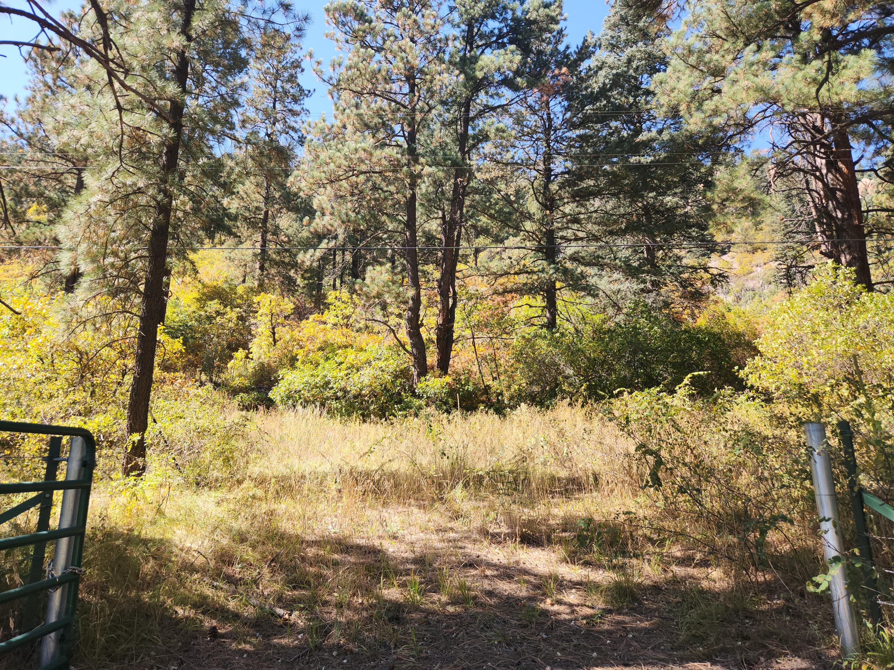 26856 Highway 126, Jemez Springs, New Mexico image 7