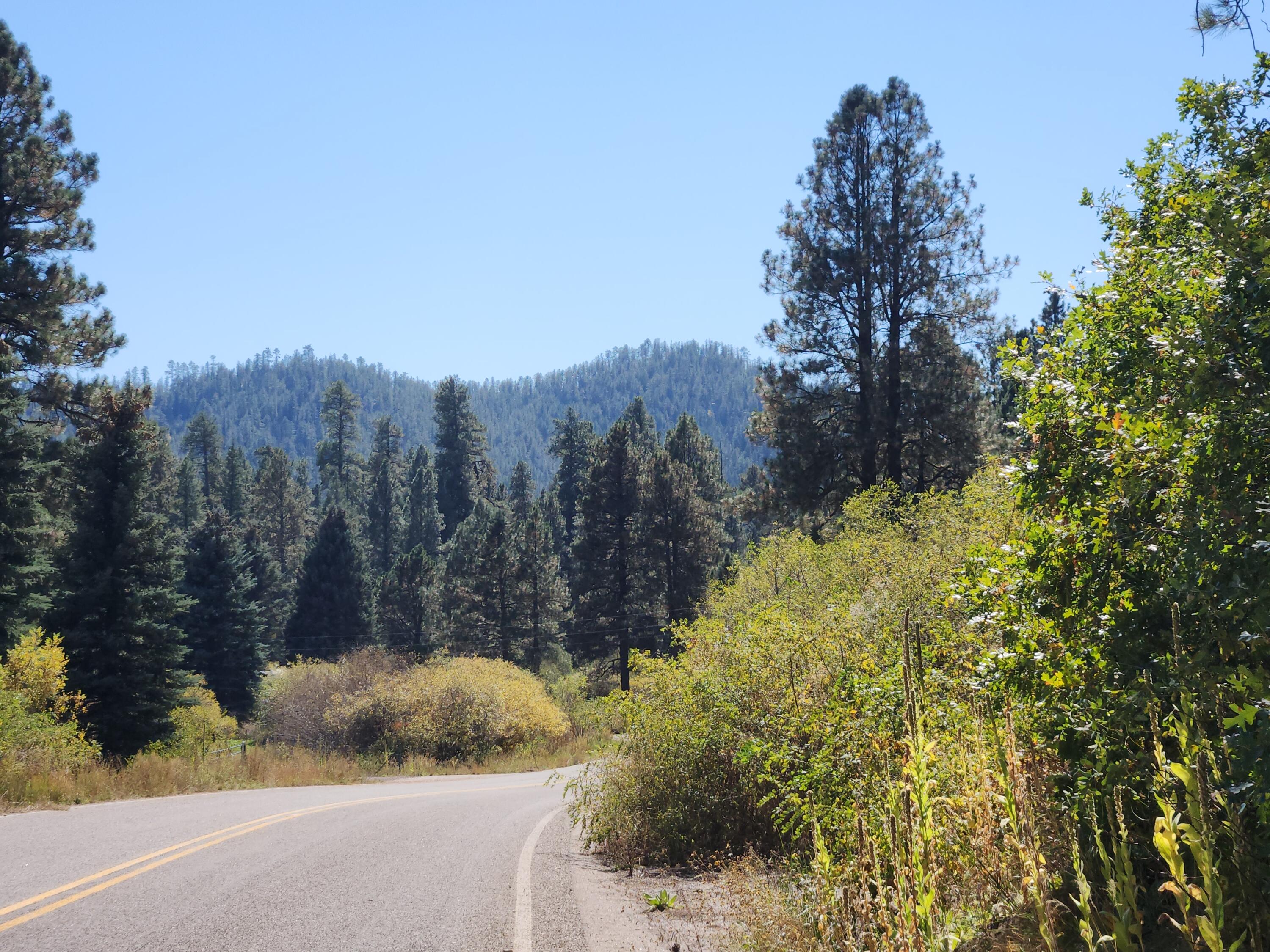 26856 Highway 126, Jemez Springs, New Mexico image 20