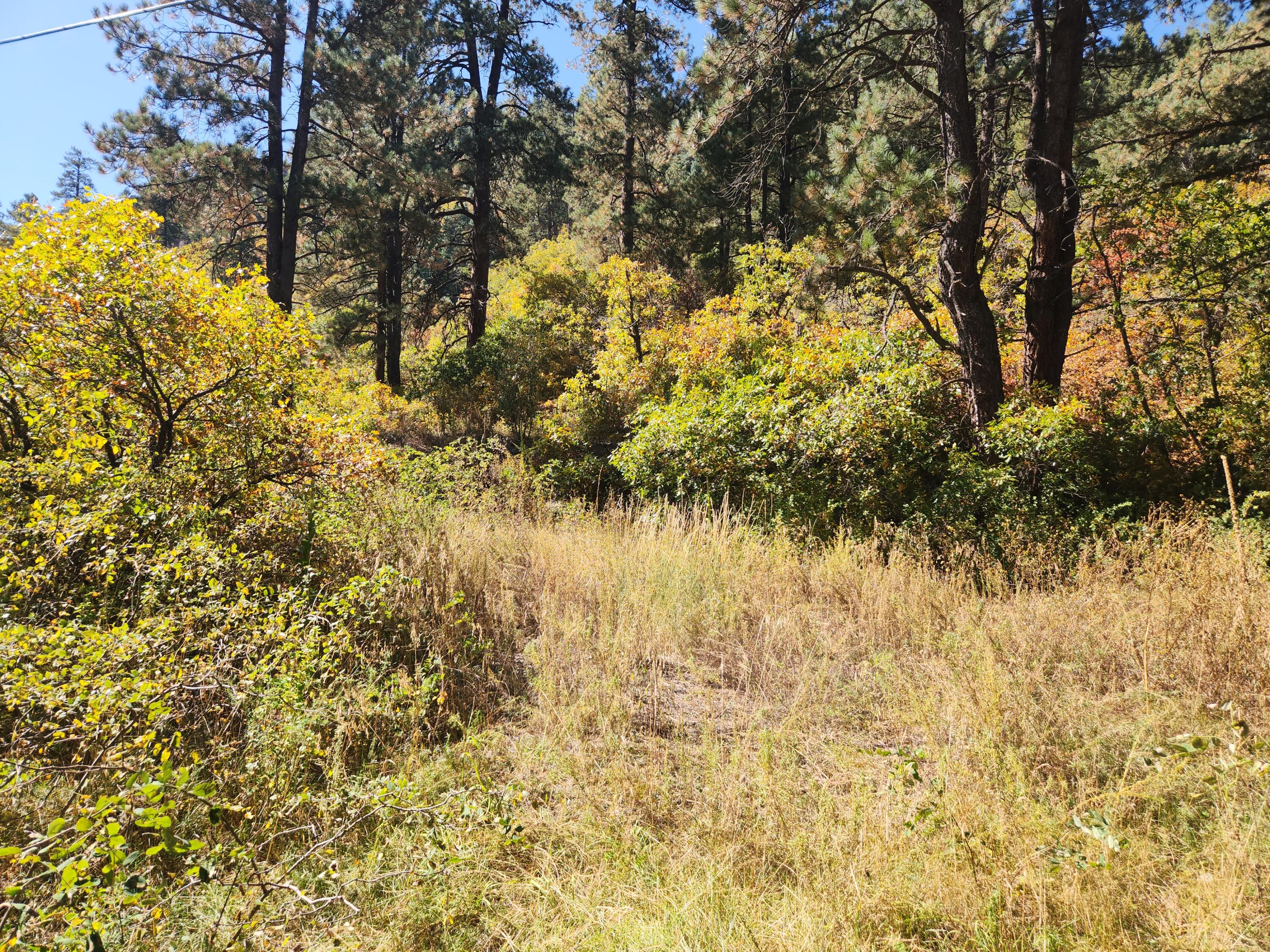 26856 Highway 126, Jemez Springs, New Mexico image 13