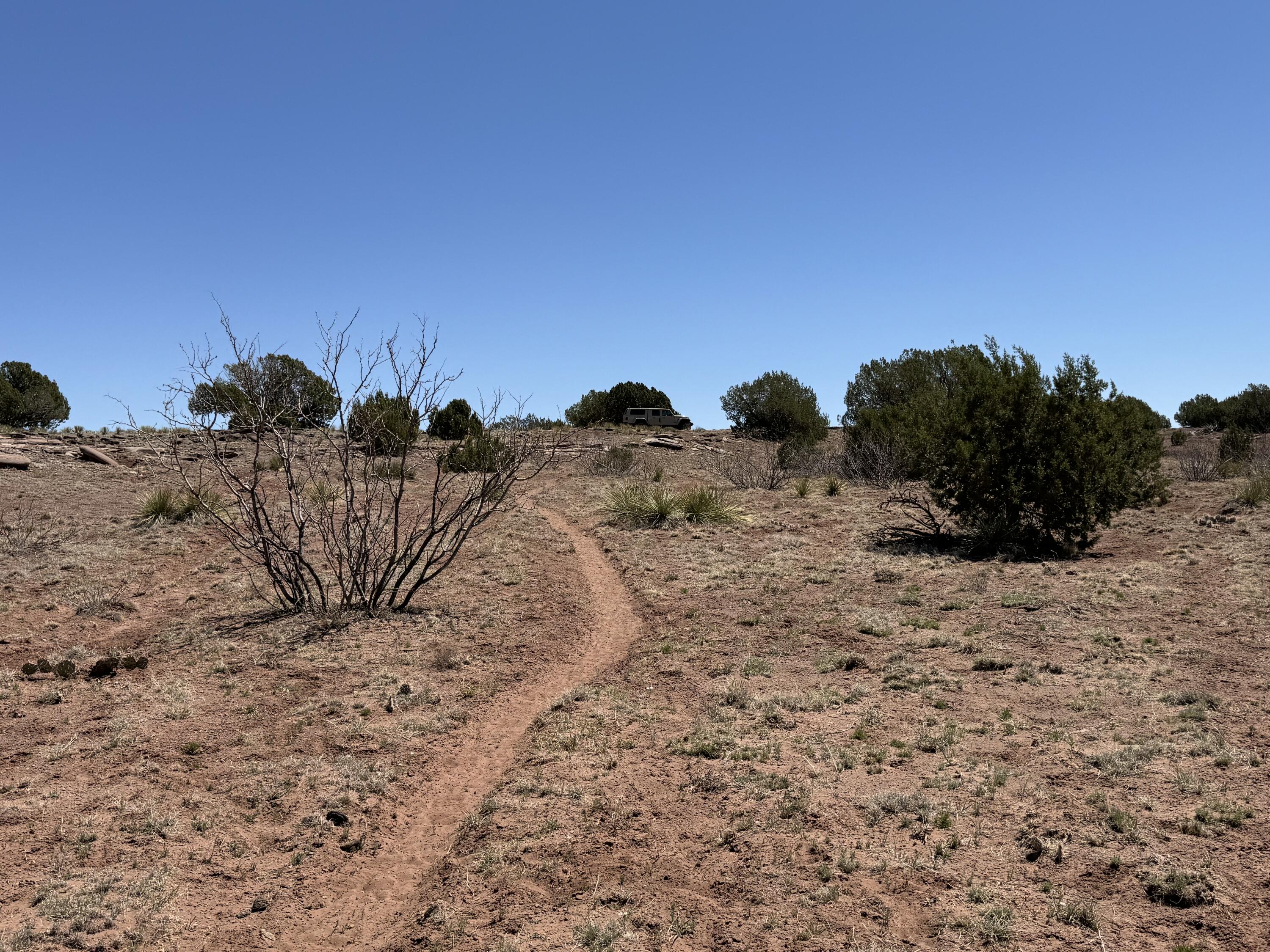 Sena Road, Santa Rosa, New Mexico image 6