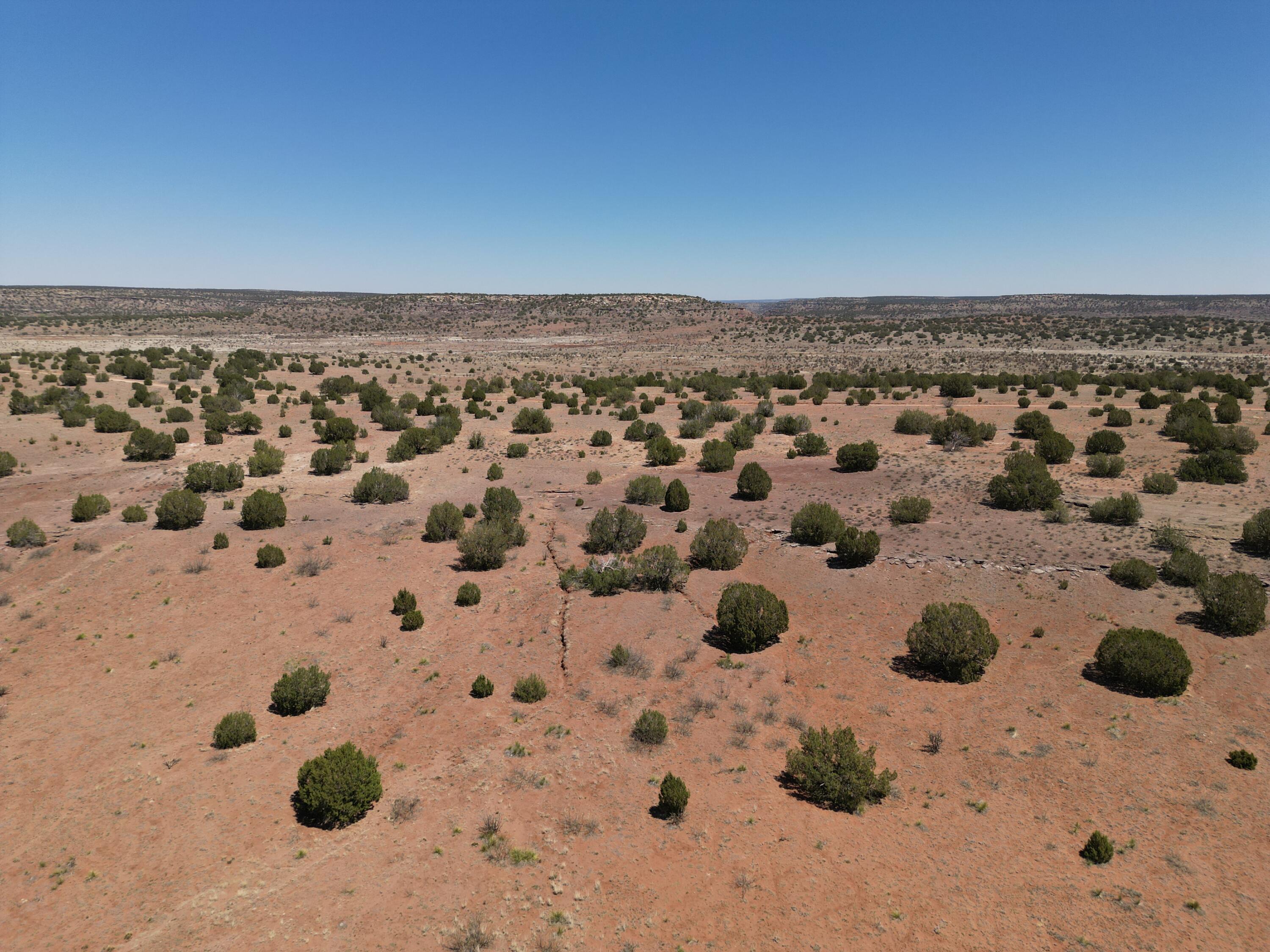 Sena Road, Santa Rosa, New Mexico image 18