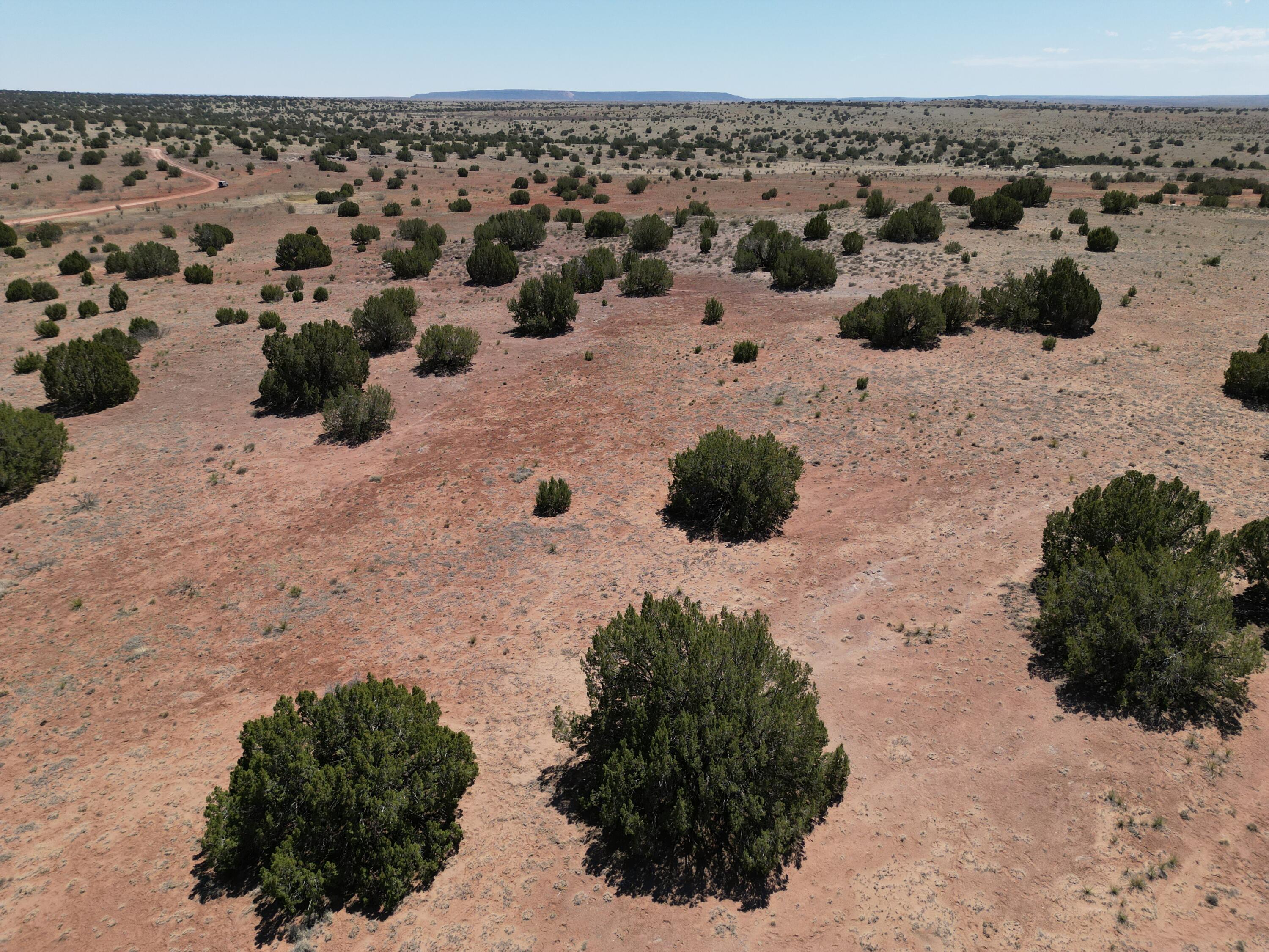 Sena Road, Santa Rosa, New Mexico image 13