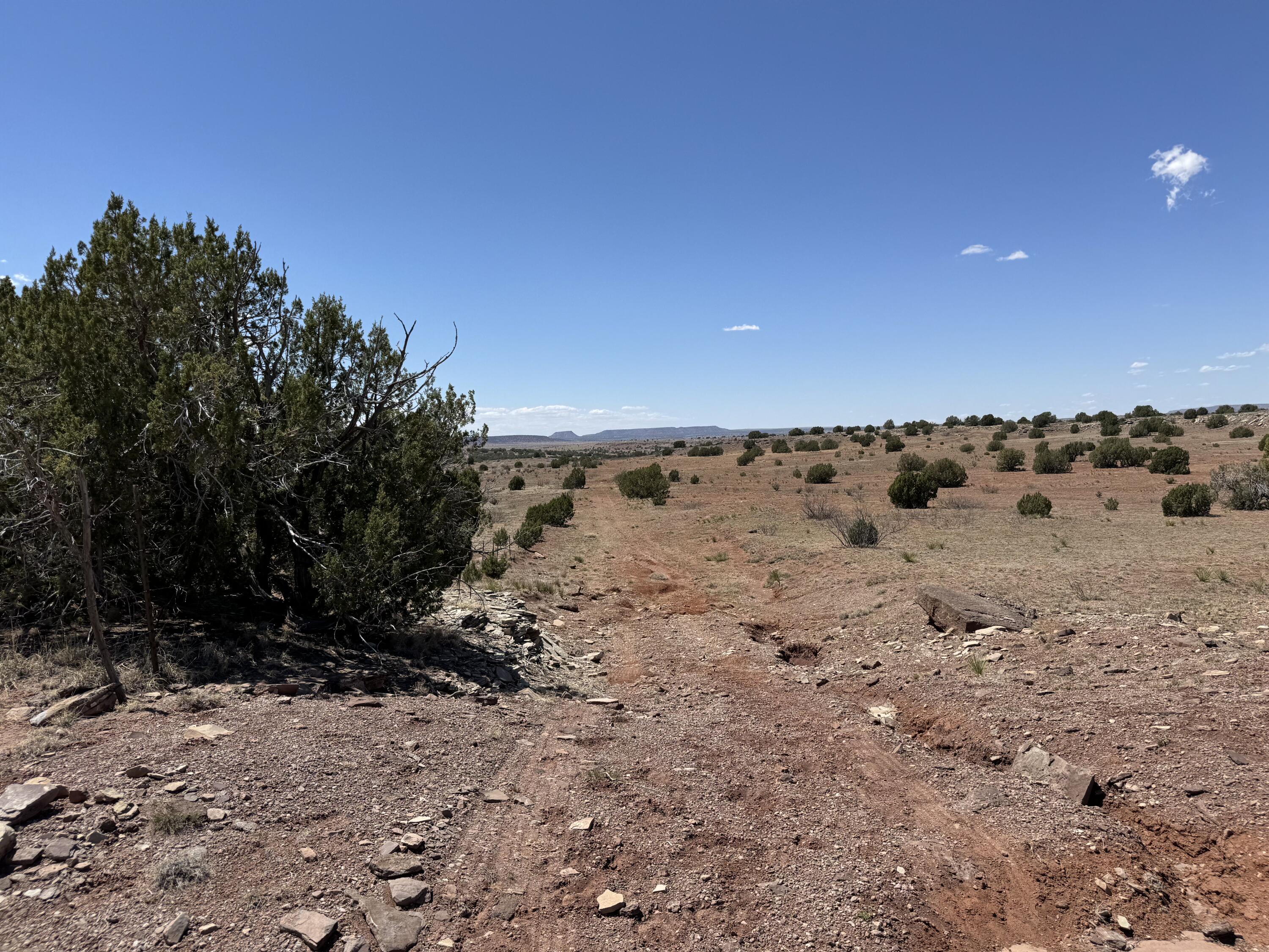 Sena Road, Santa Rosa, New Mexico image 7