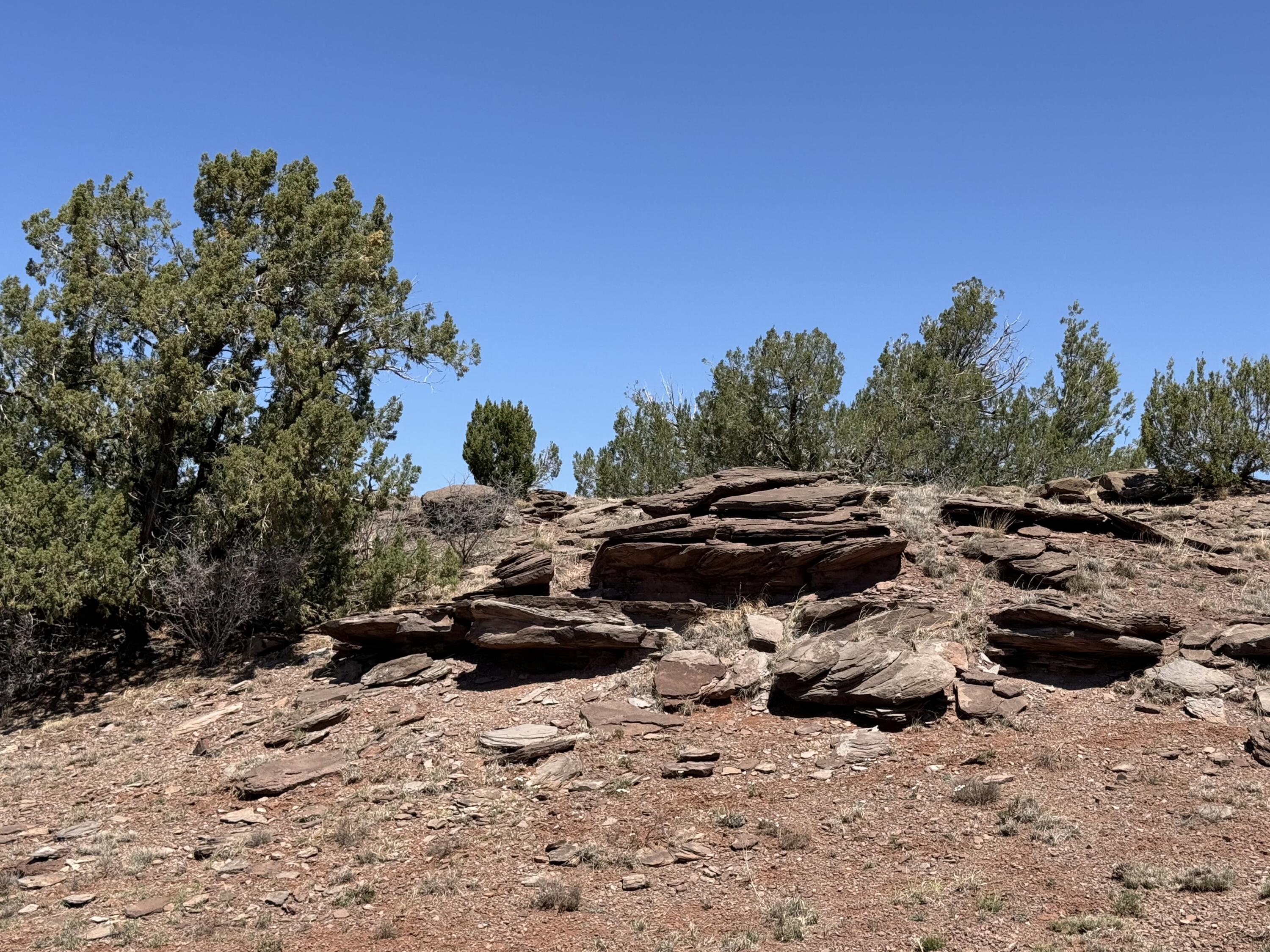 Sena Road, Santa Rosa, New Mexico image 1