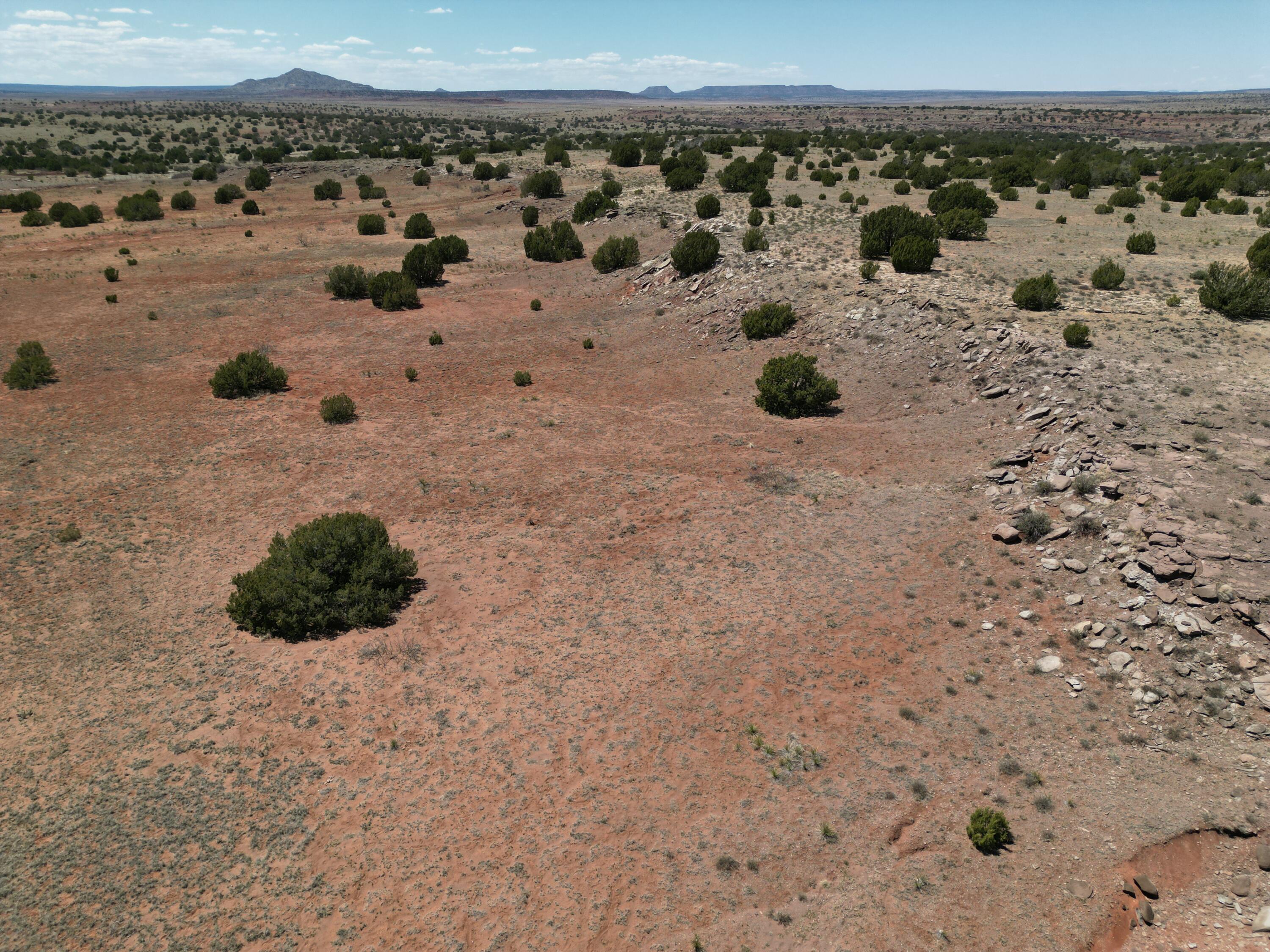 Sena Road, Santa Rosa, New Mexico image 21