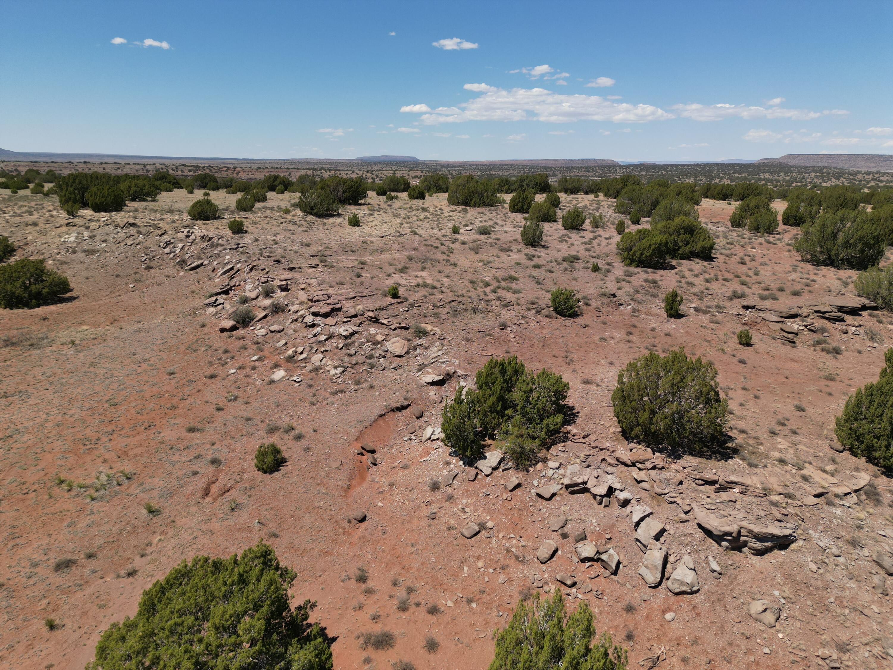 Sena Road, Santa Rosa, New Mexico image 20