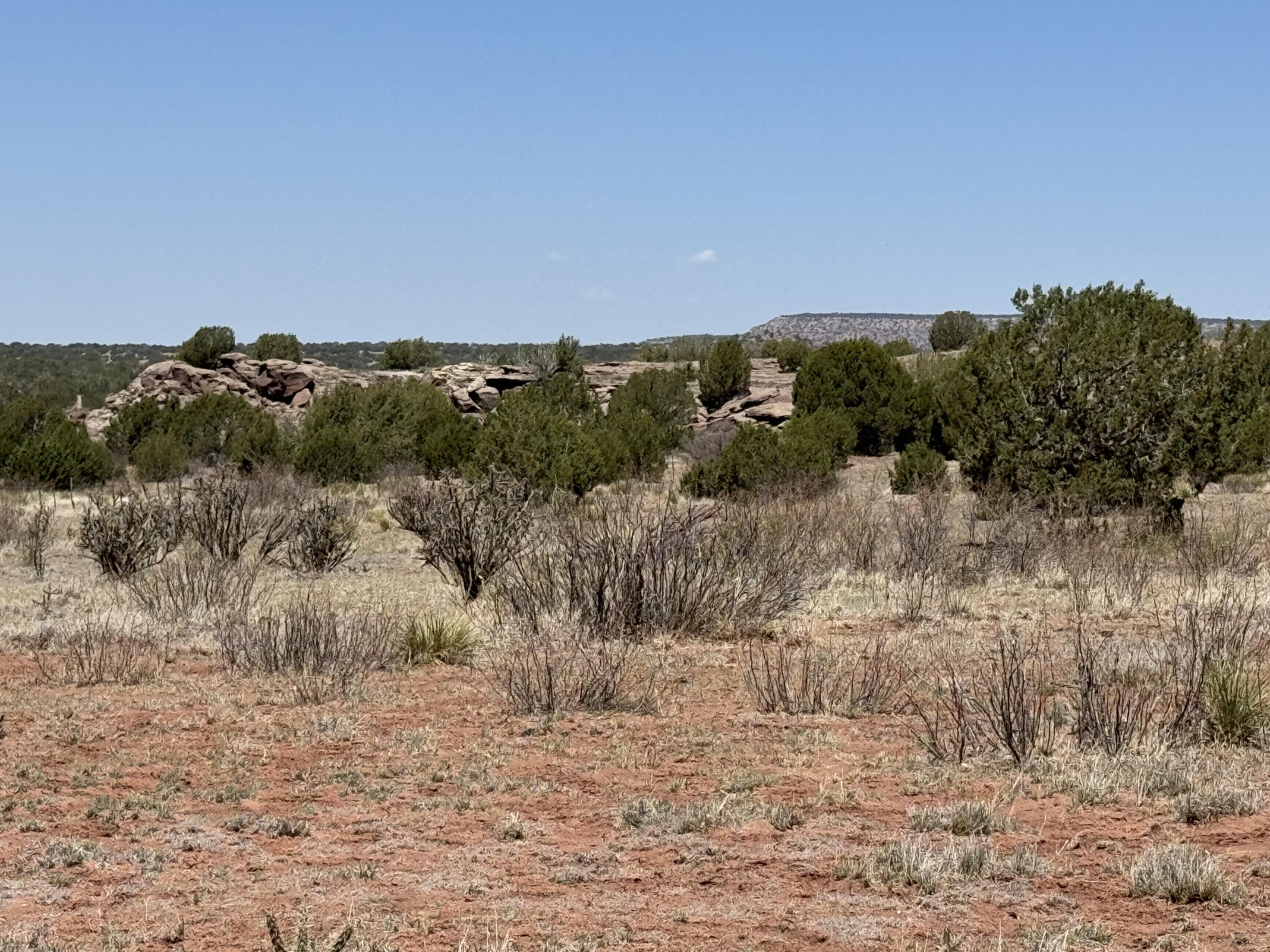 Sena Road, Santa Rosa, New Mexico image 11