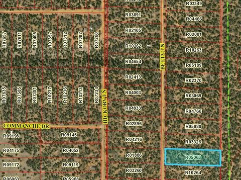 Vacant Land For Sale - LOT 617 Betty Lane<br/> Ramah, NM 87321