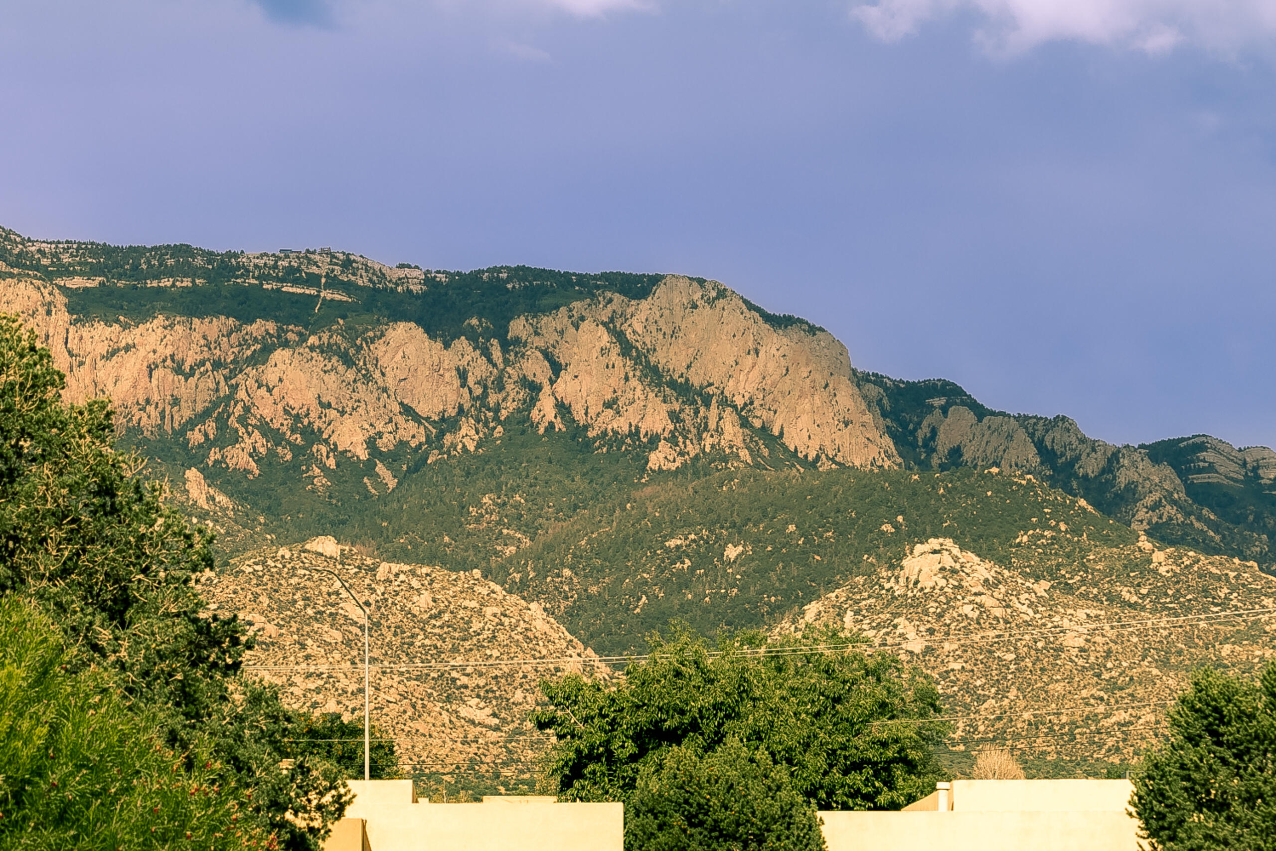 2438 Tramway Terrace Court, Albuquerque, New Mexico image 41