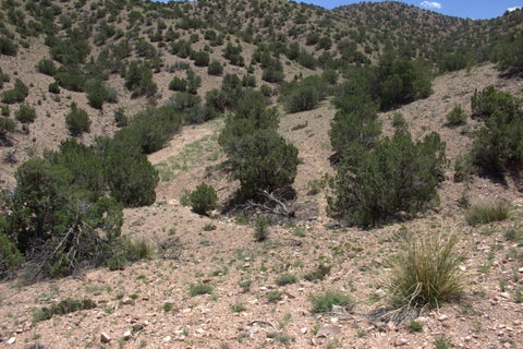 Vacant Land For Sale - Tres Amigos Road<br/> Placitas, NM 87043