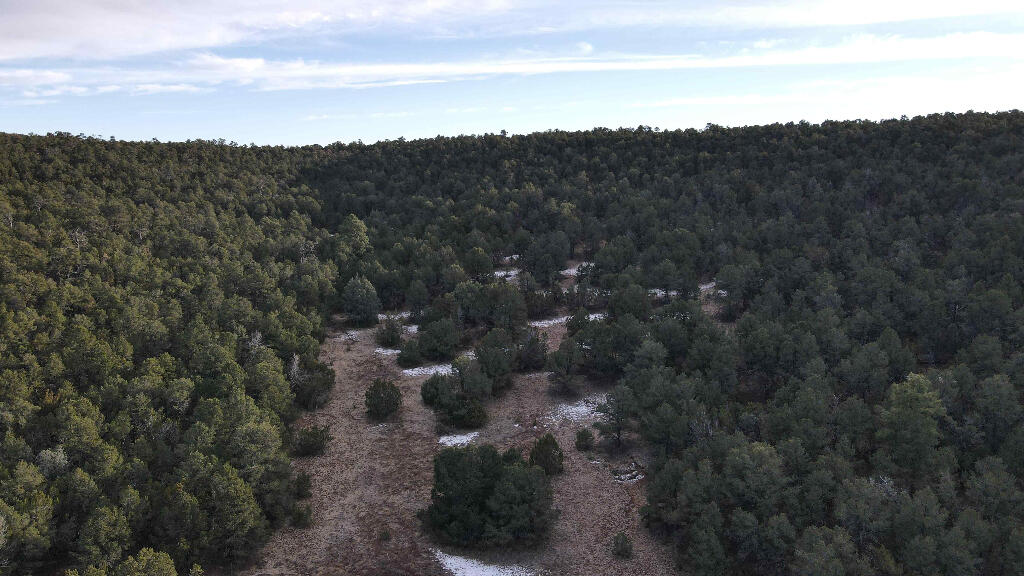 19 Valley Vista Court, Edgewood, New Mexico image 23