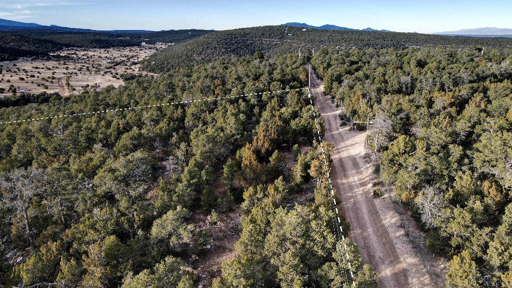 19 Valley Vista Court, Edgewood, New Mexico image 14