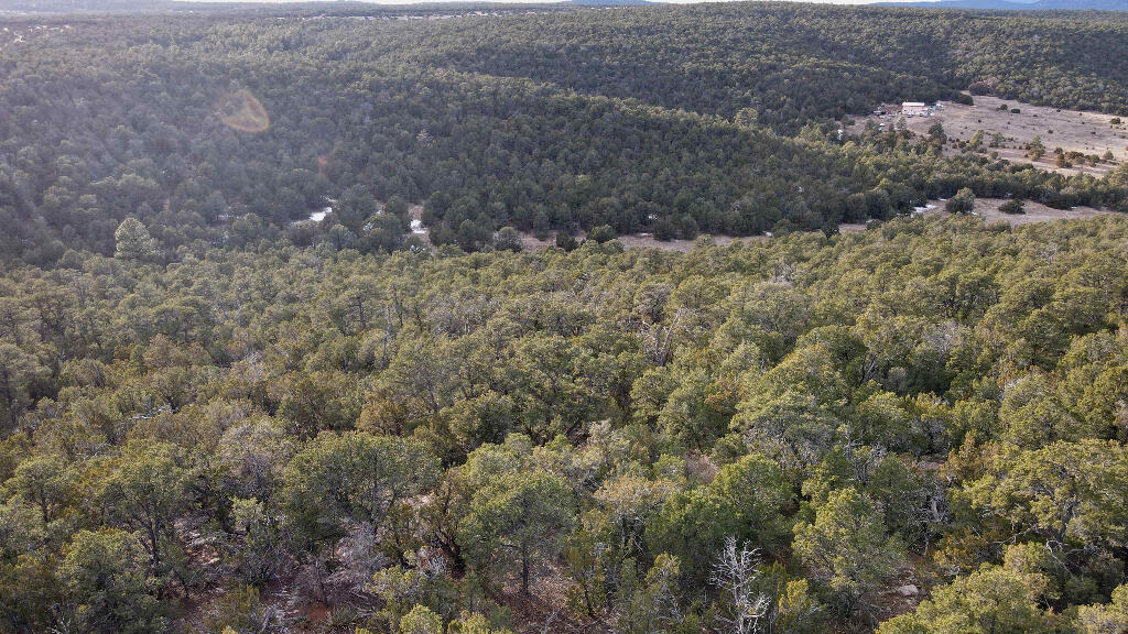 19 Valley Vista Court, Edgewood, New Mexico image 22