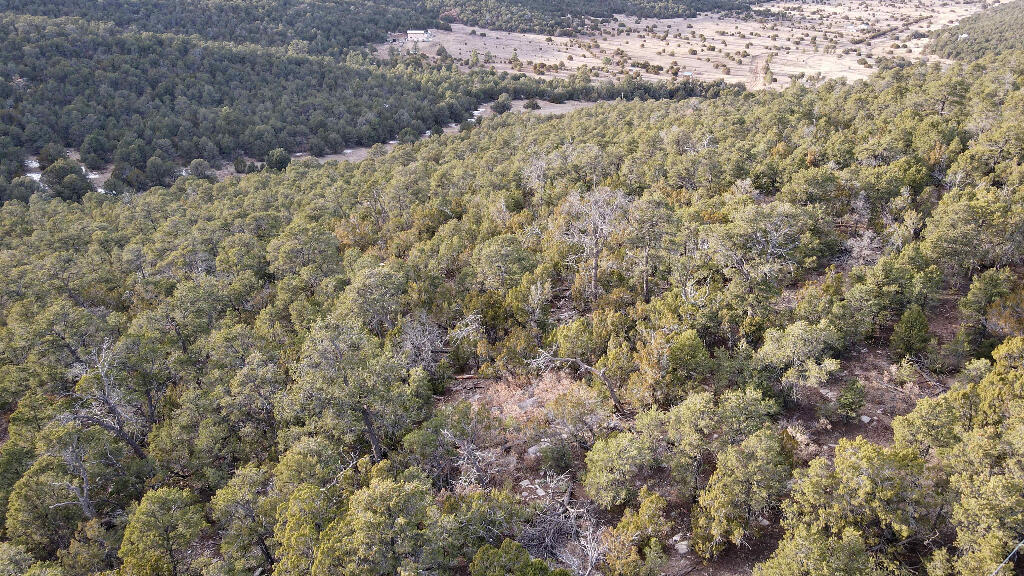 19 Valley Vista Court, Edgewood, New Mexico image 21