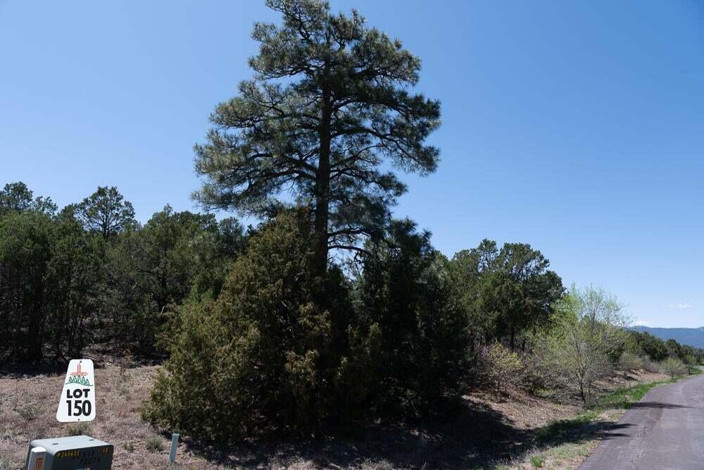 18 Los Pecos Lp Loop, Tijeras, New Mexico image 4