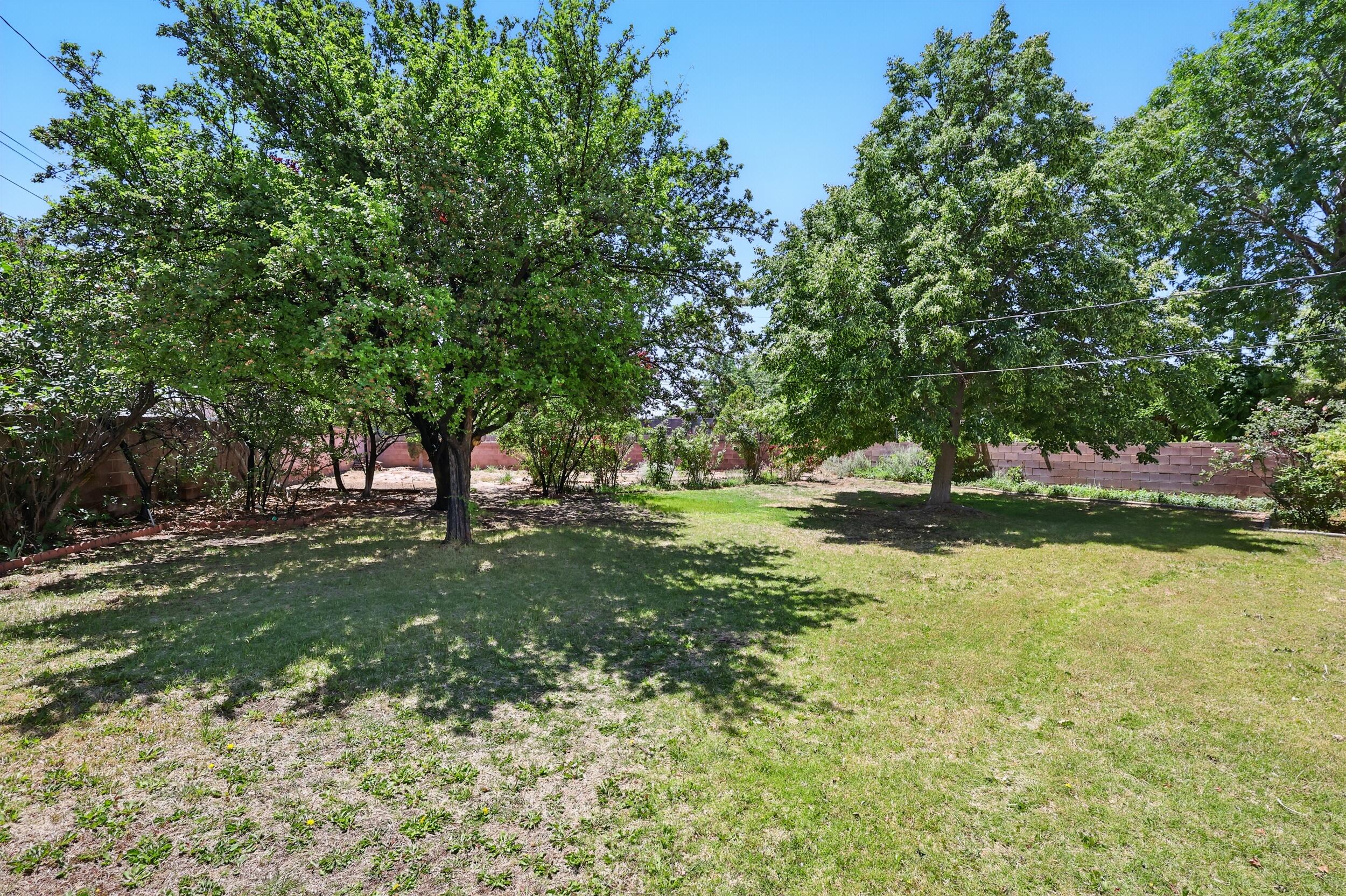9722 Apache Avenue, Albuquerque, New Mexico image 32