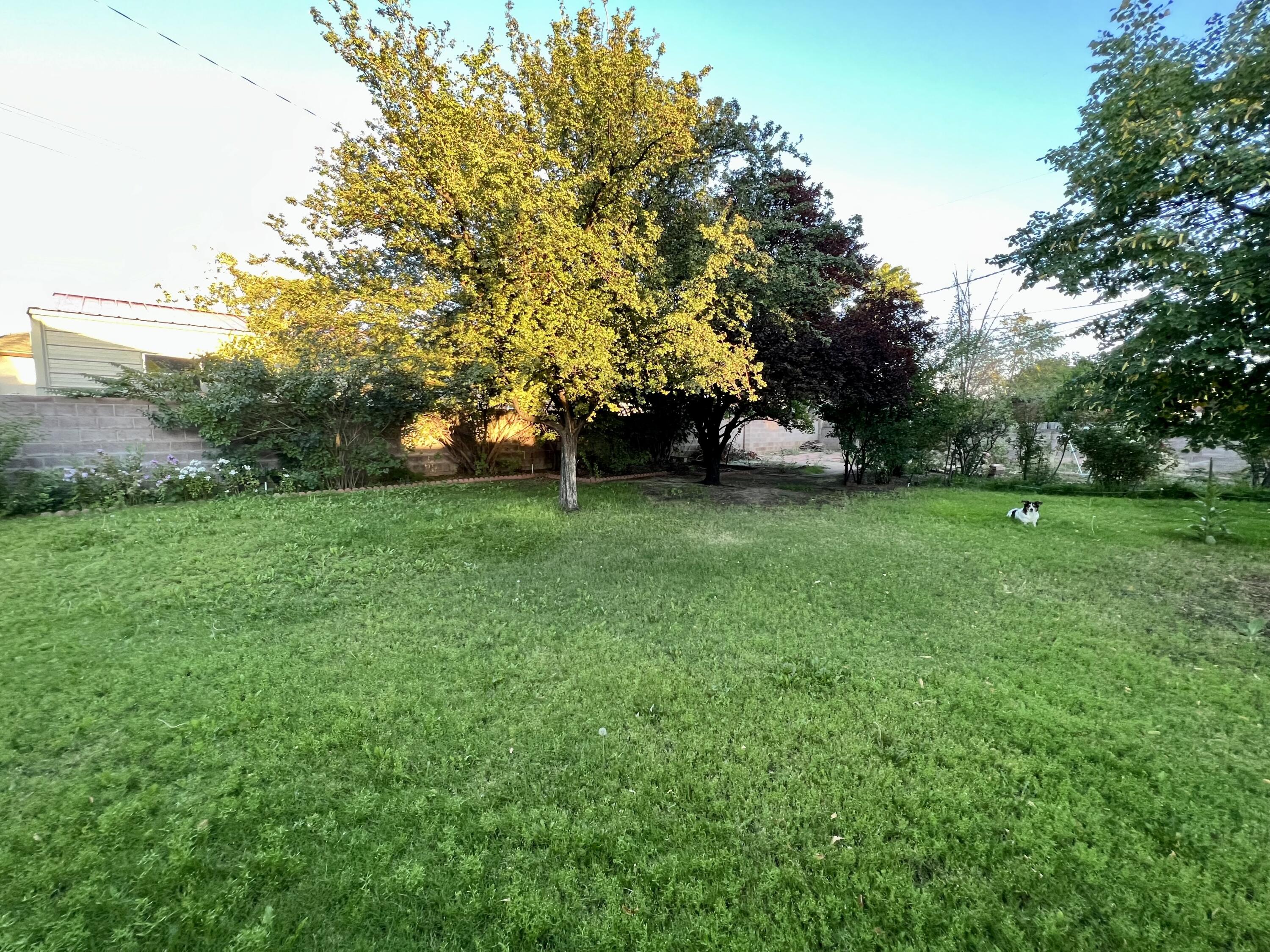9722 Apache Avenue, Albuquerque, New Mexico image 41