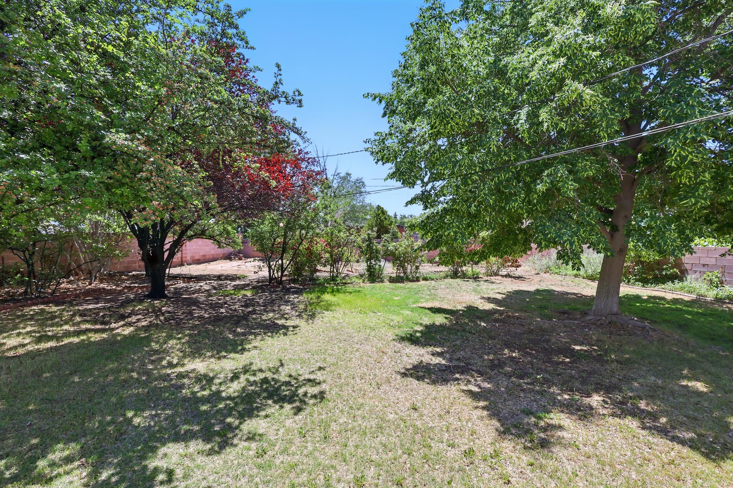 9722 Apache Avenue, Albuquerque, New Mexico image 33