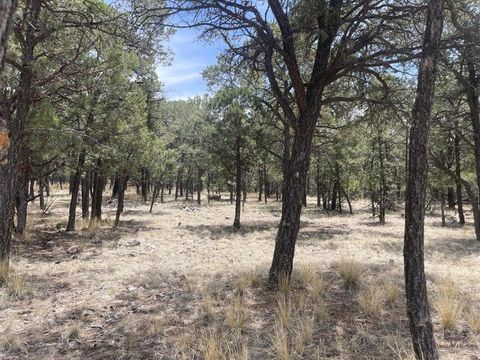 Vacant Land For Sale - LOT  30 Hop Canyon Road<br/> Magdalena, NM 87825