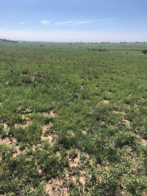 Lexco Road #D, Edgewood, New Mexico image 12